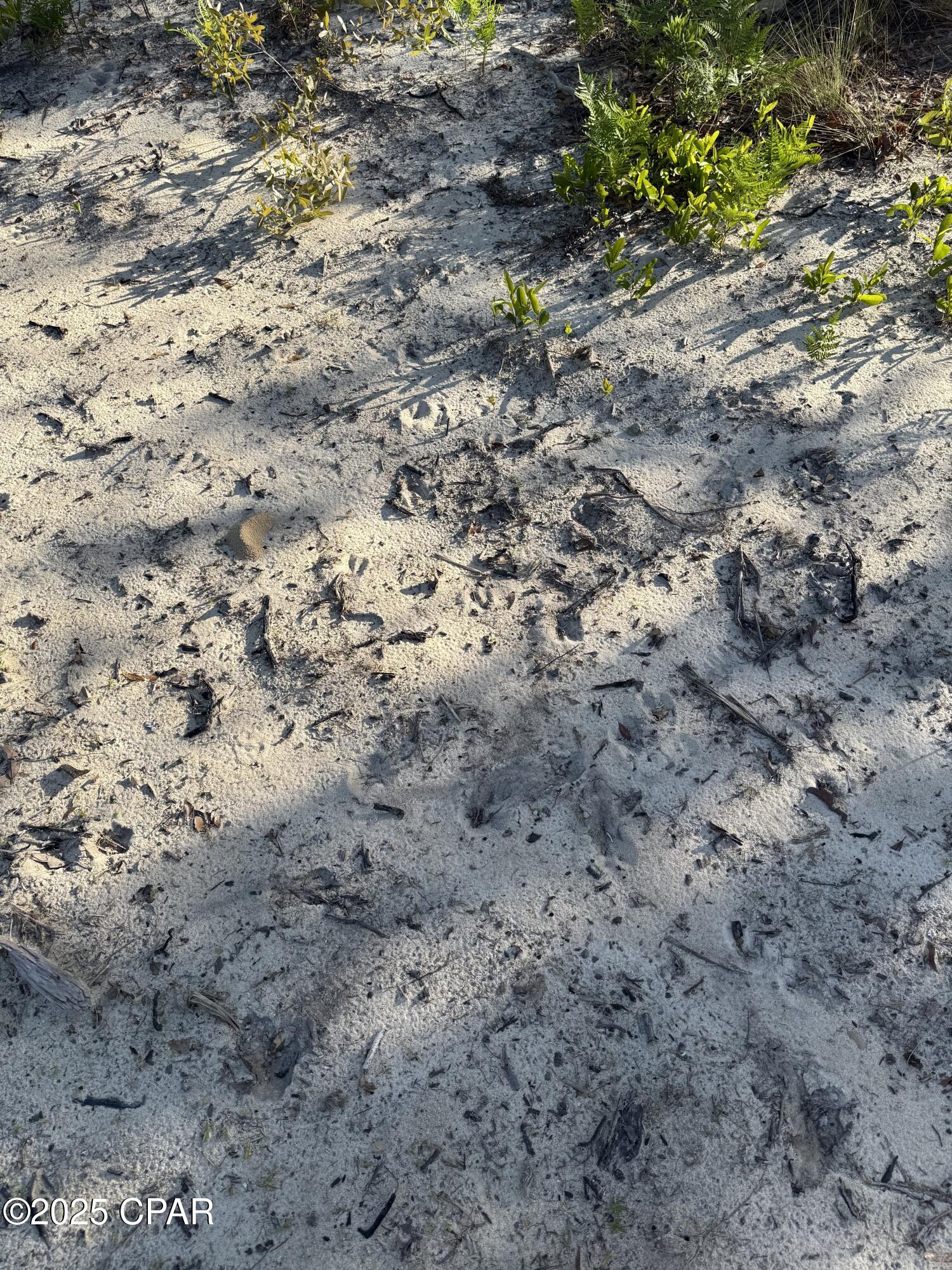 Image 17 For 516 Goshun Creek Road