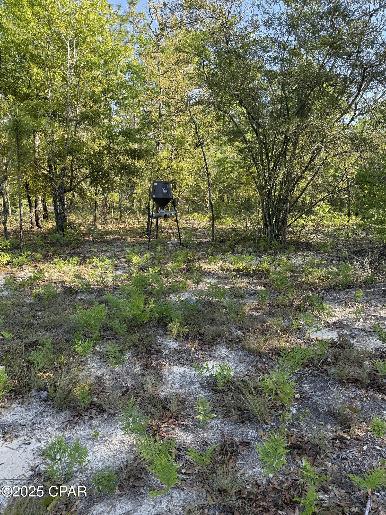 Image 18 For 516 Goshun Creek Road