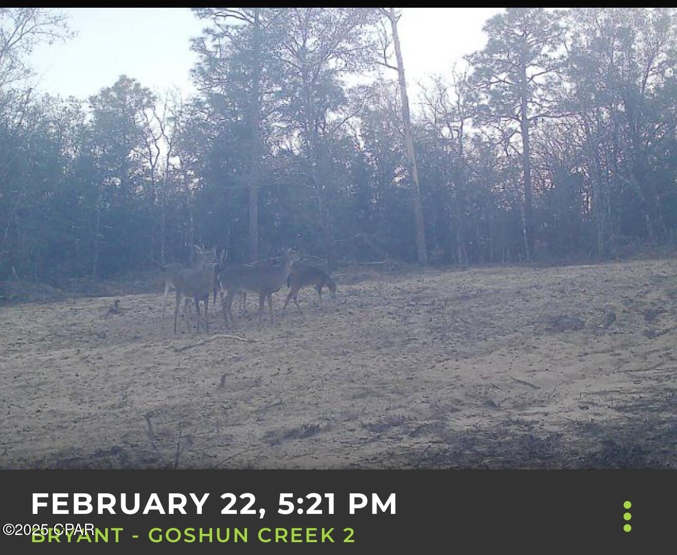 Image 2 For 516 Goshun Creek Road