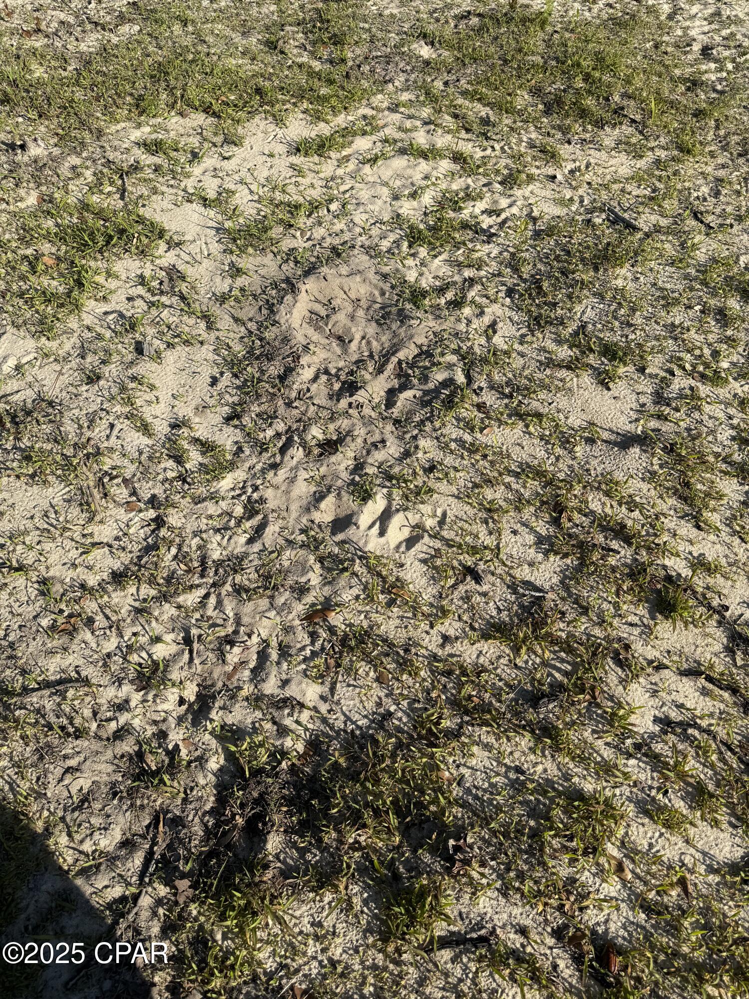 Image 20 For 516 Goshun Creek Road