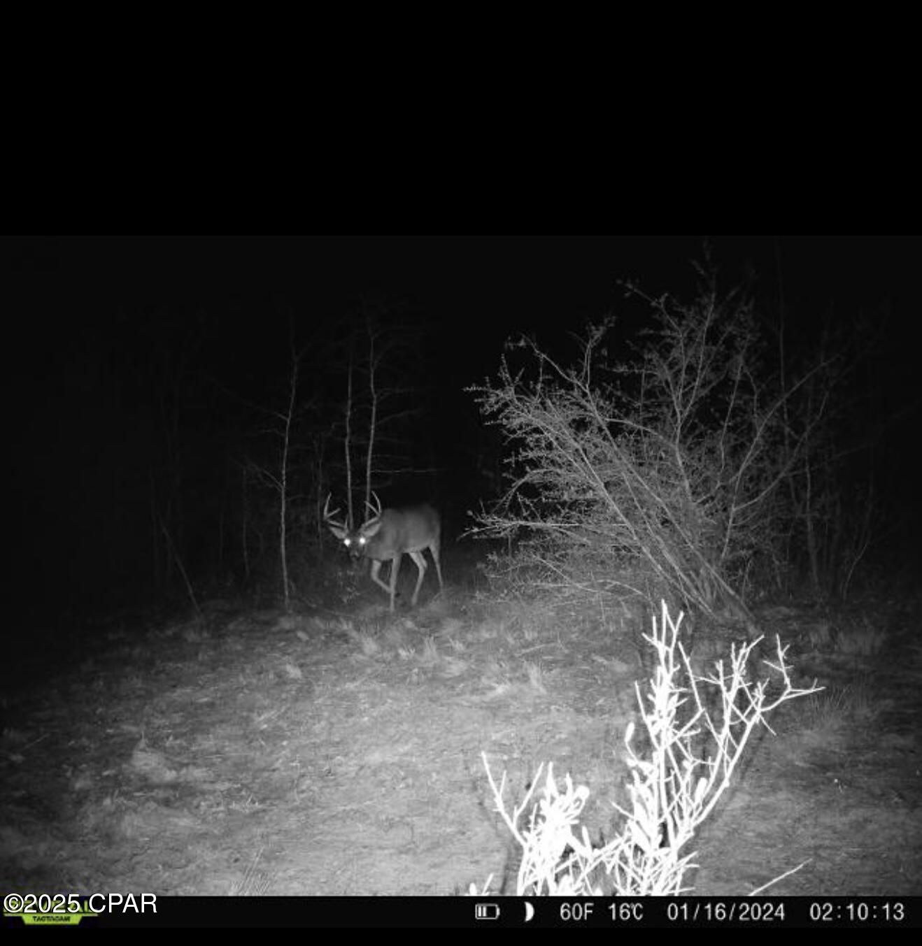 Image 3 For 516 Goshun Creek Road