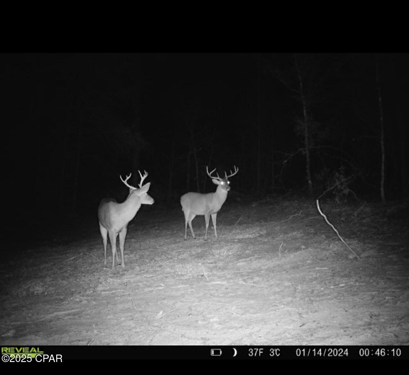 Image 4 For 516 Goshun Creek Road