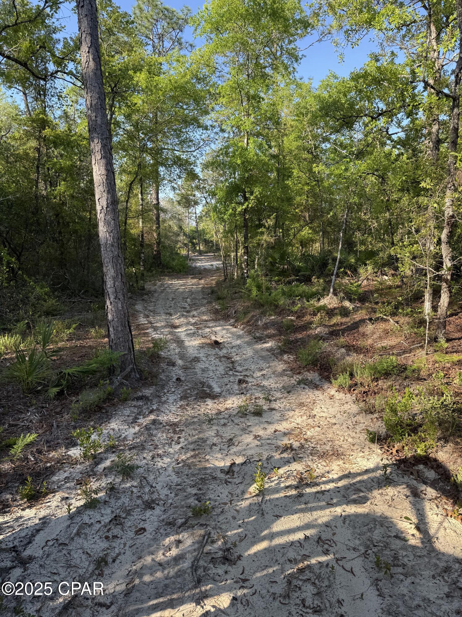 Image 6 For 516 Goshun Creek Road