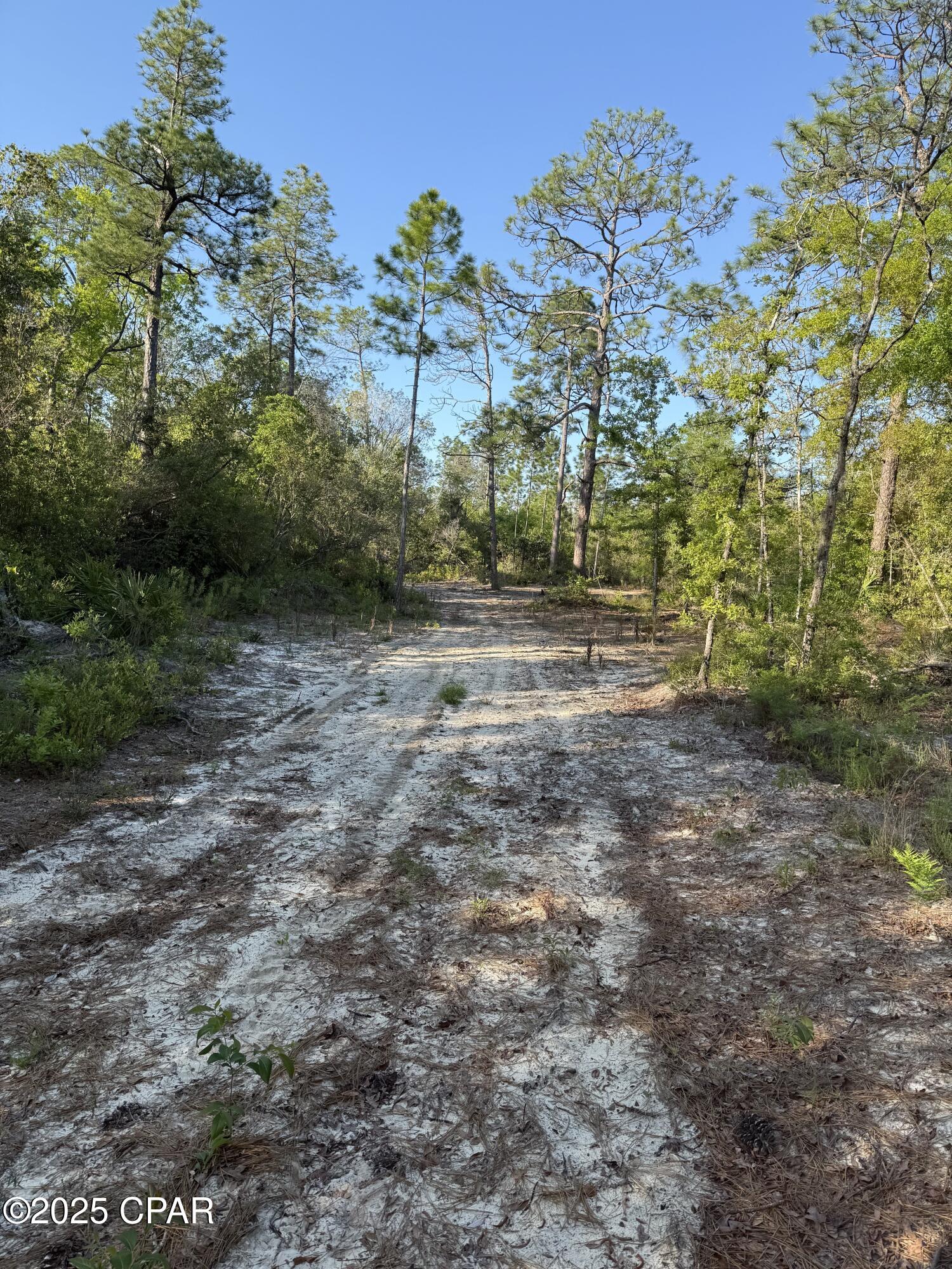 Image 7 For 516 Goshun Creek Road