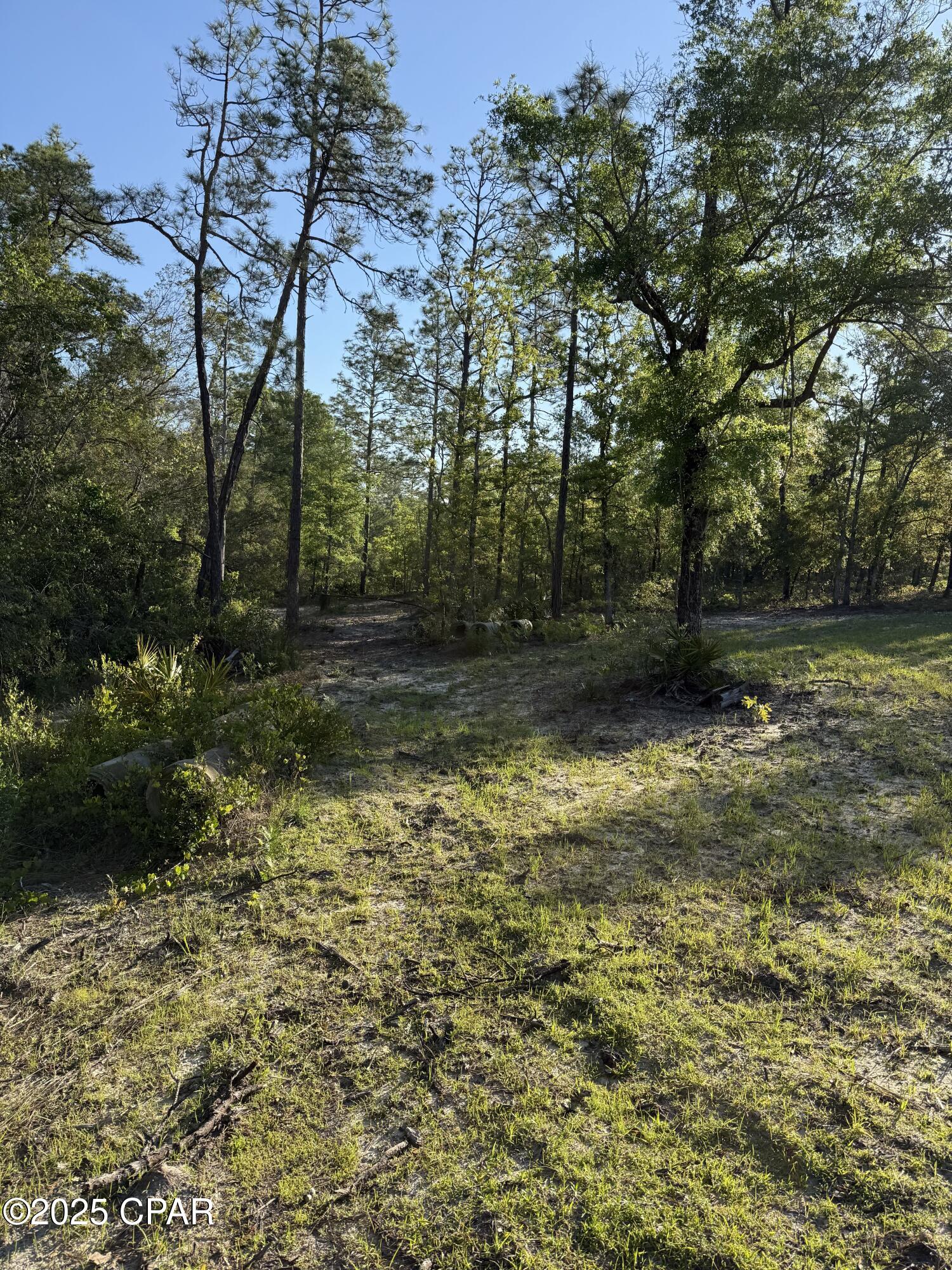 Image 8 For 516 Goshun Creek Road