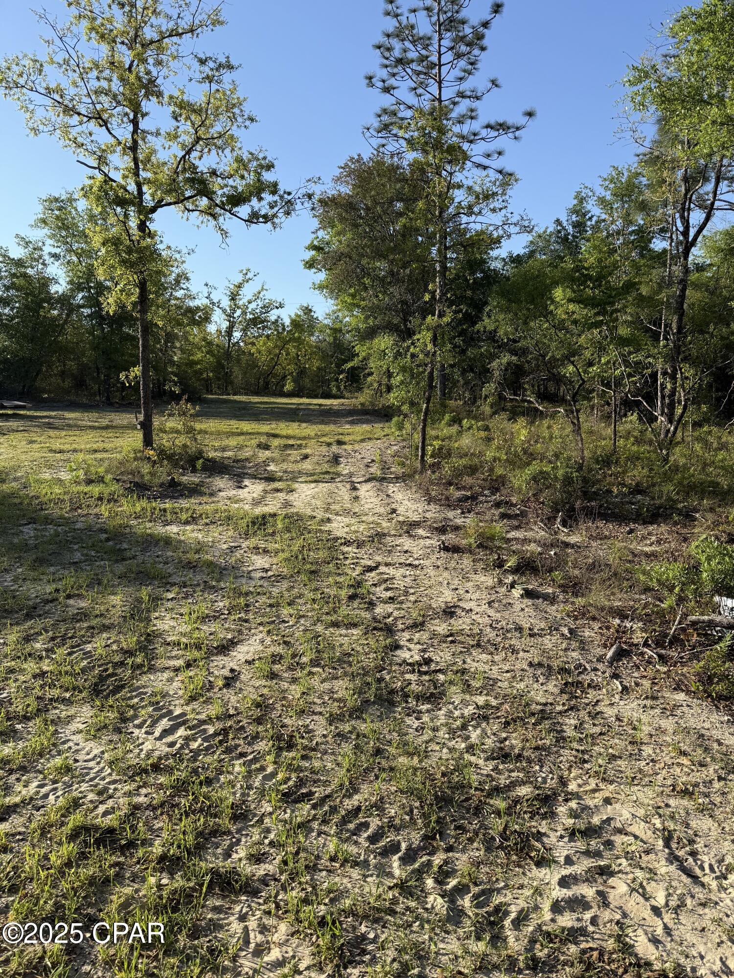 Image 9 For 516 Goshun Creek Road