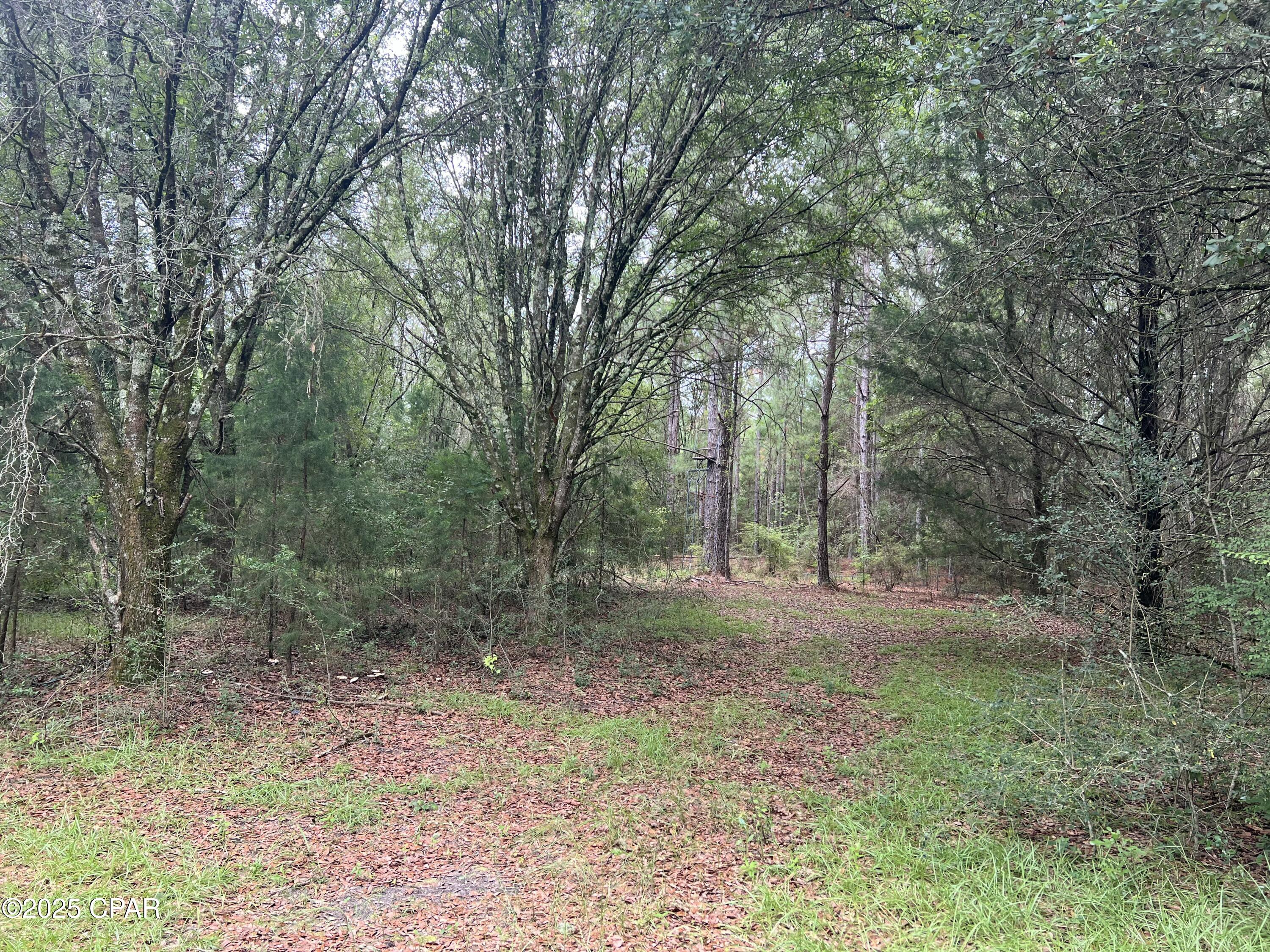 Details for 1680 Franks Lane, Bonifay, FL 32425