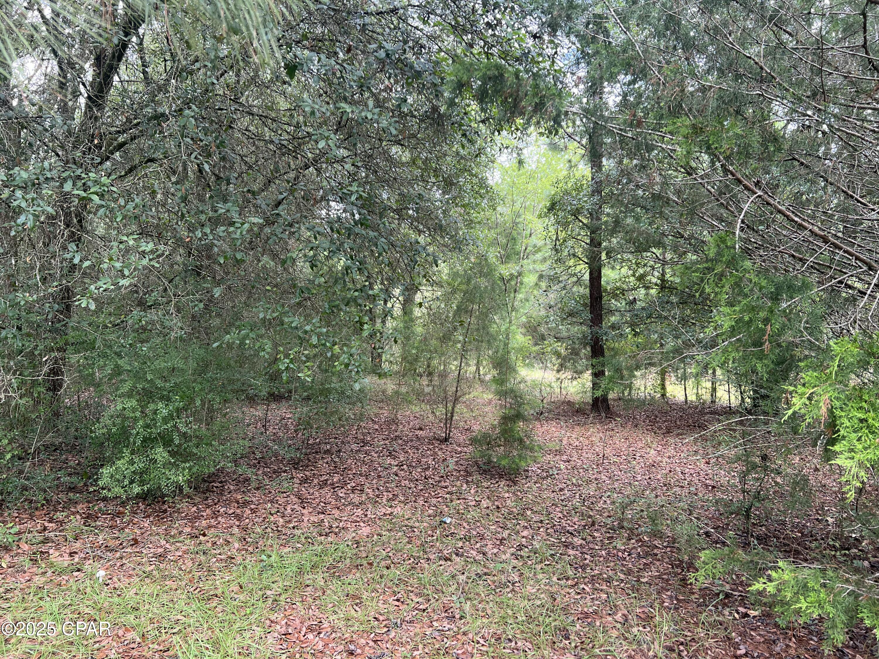 Image 10 For 1680 Franks Lane