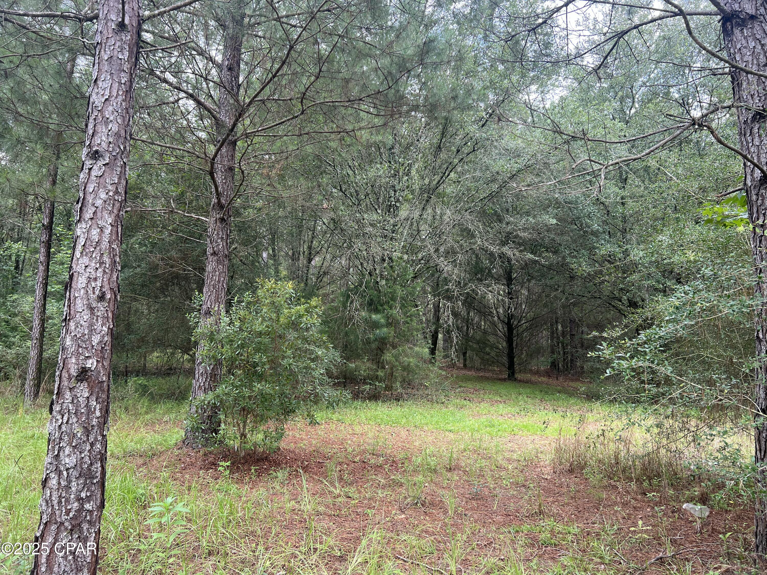 Image 12 For 1680 Franks Lane