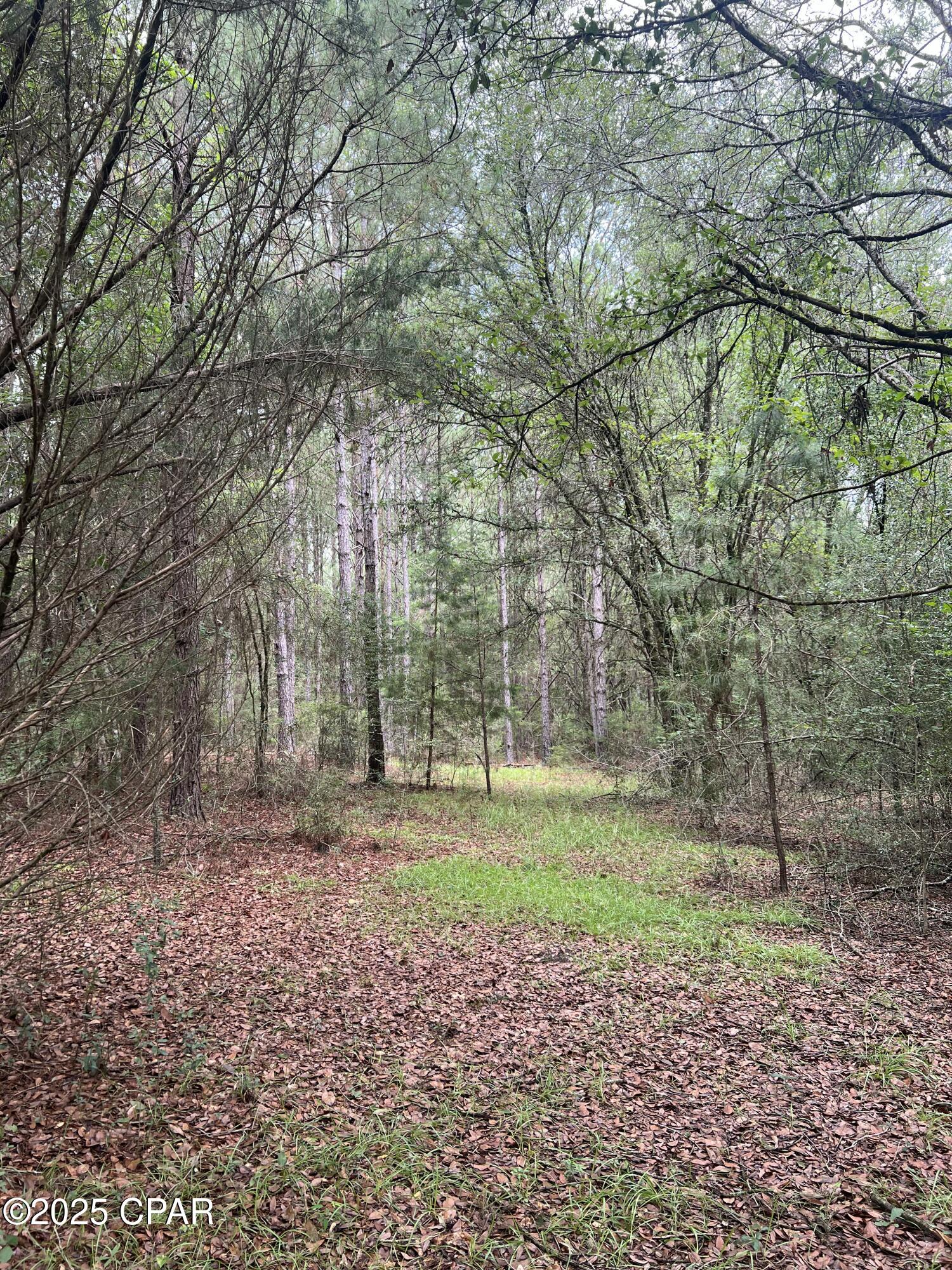 Image 13 For 1680 Franks Lane