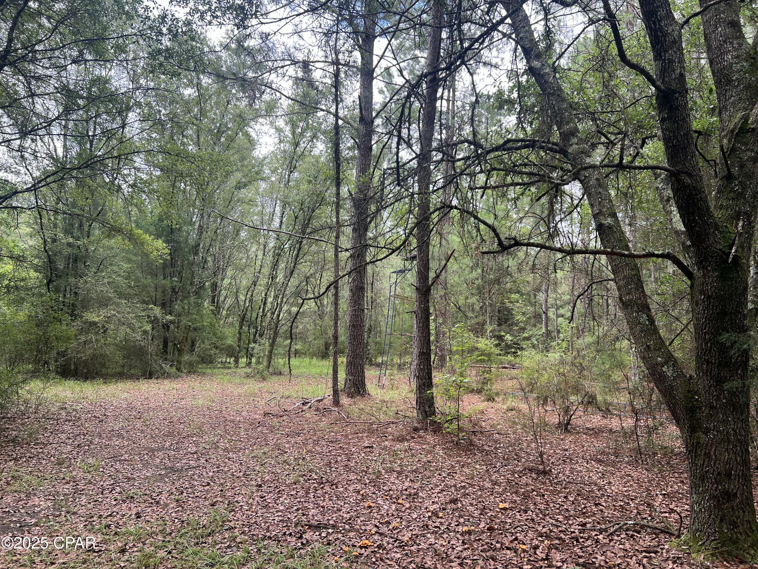 Image 14 For 1680 Franks Lane