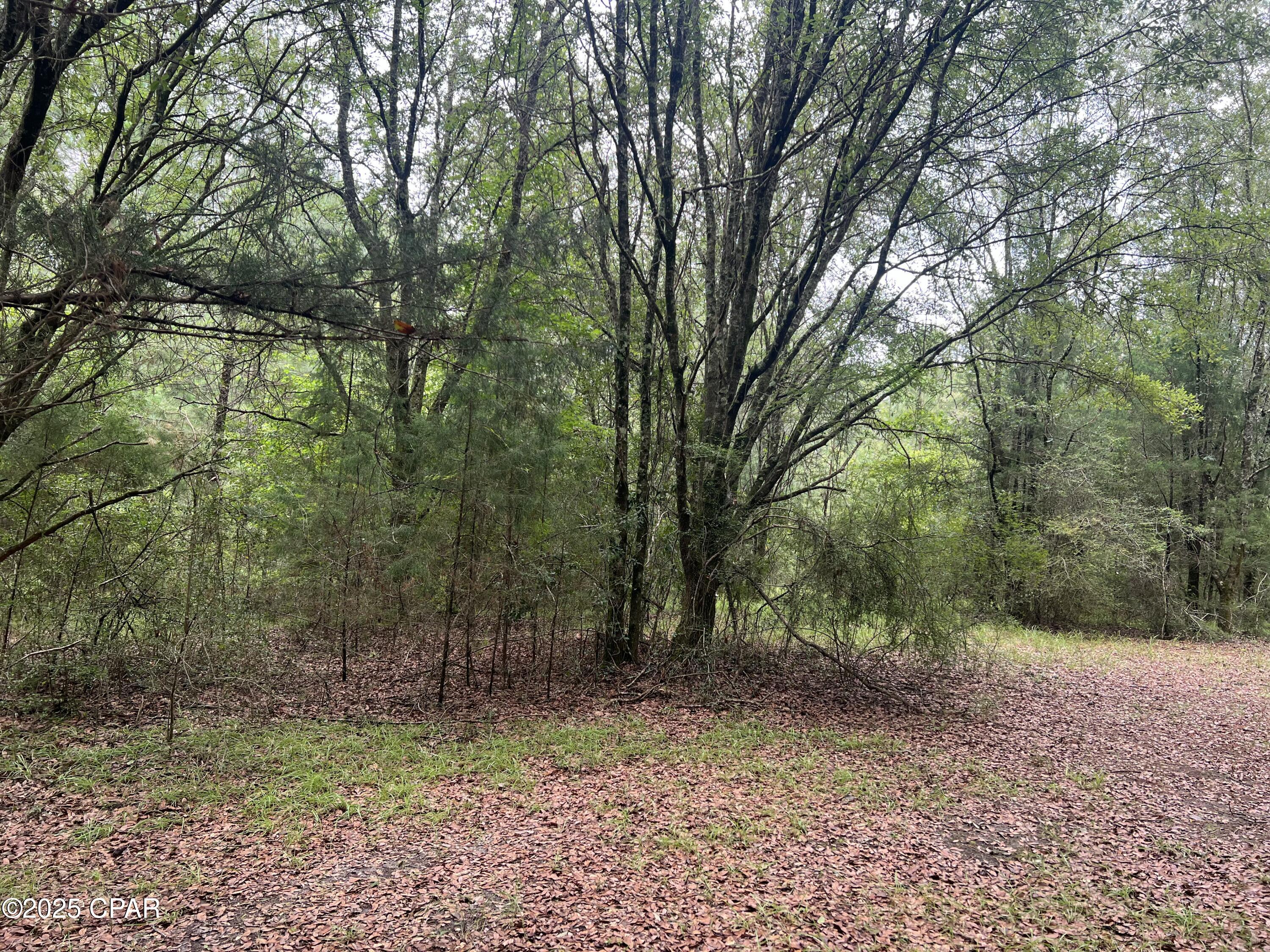 Image 15 For 1680 Franks Lane