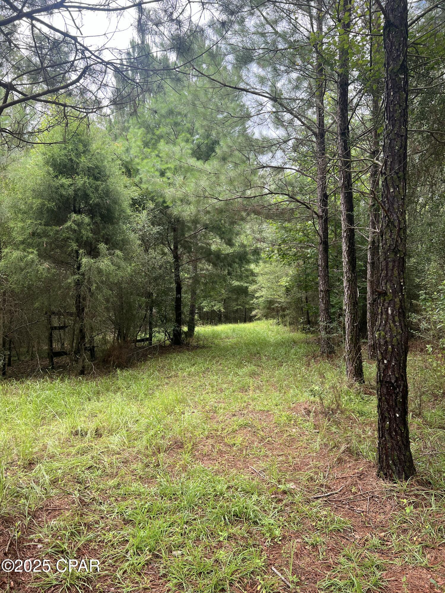 Image 16 For 1680 Franks Lane