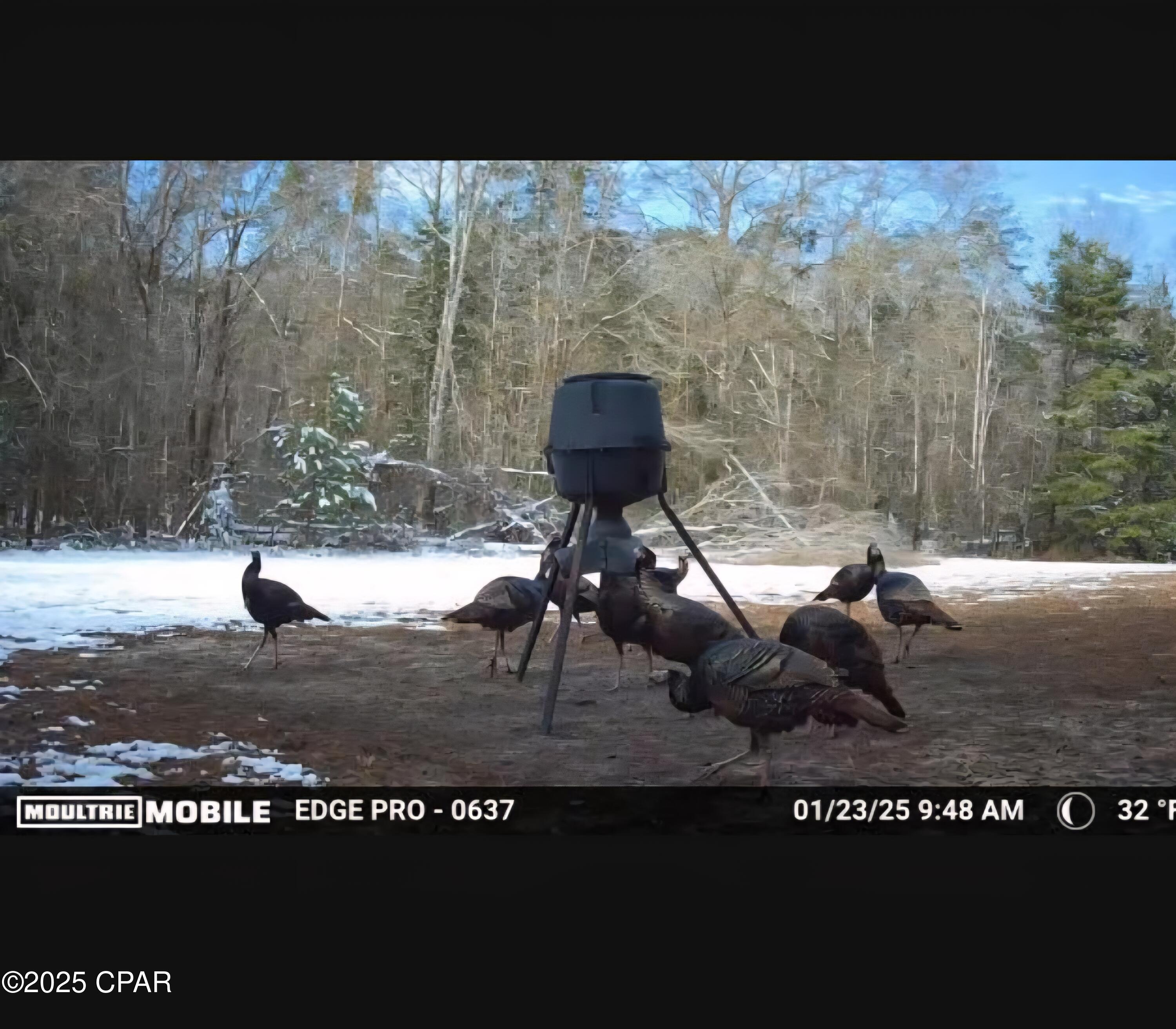 Image 17 For 1680 Franks Lane