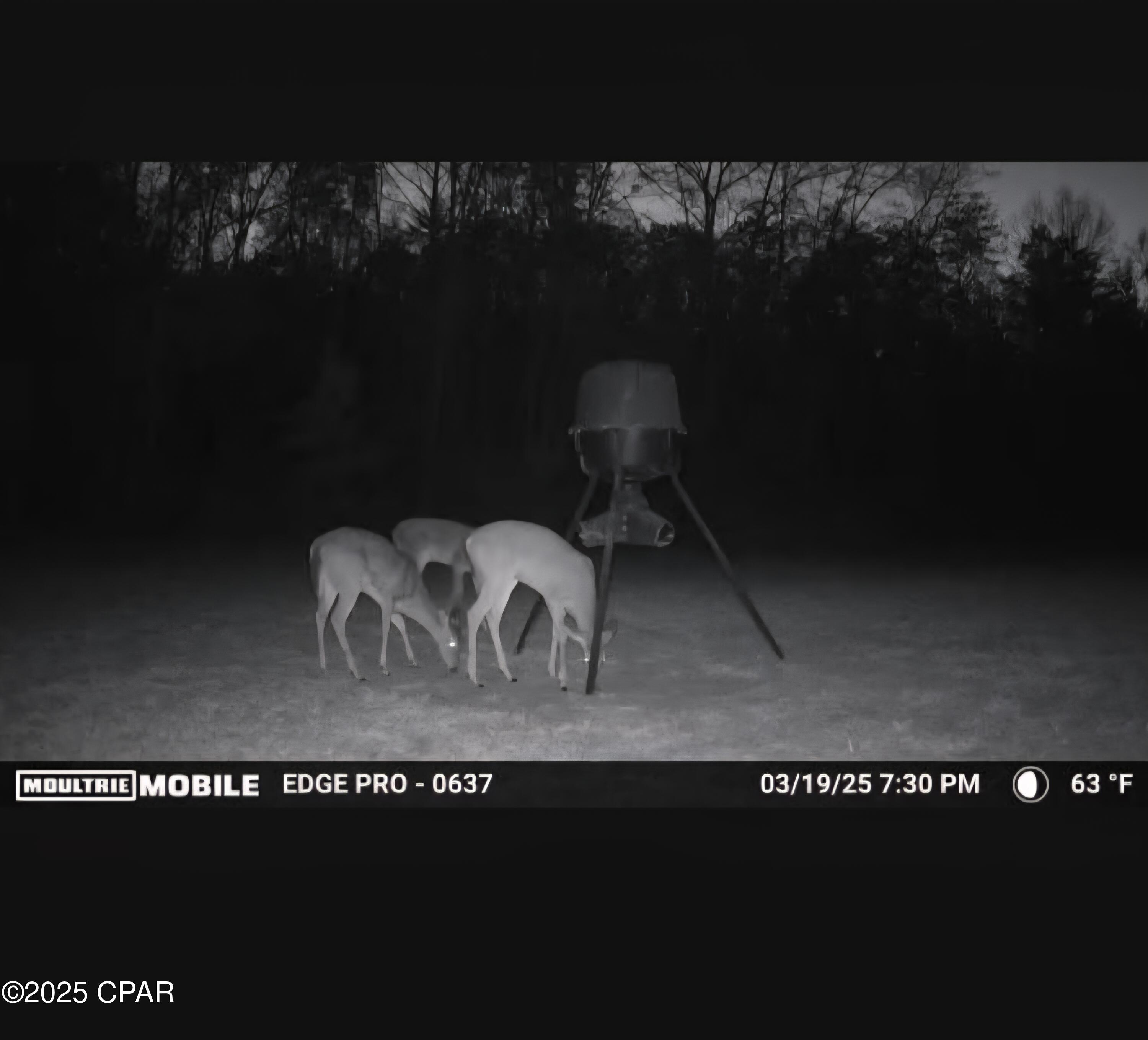 Image 18 For 1680 Franks Lane