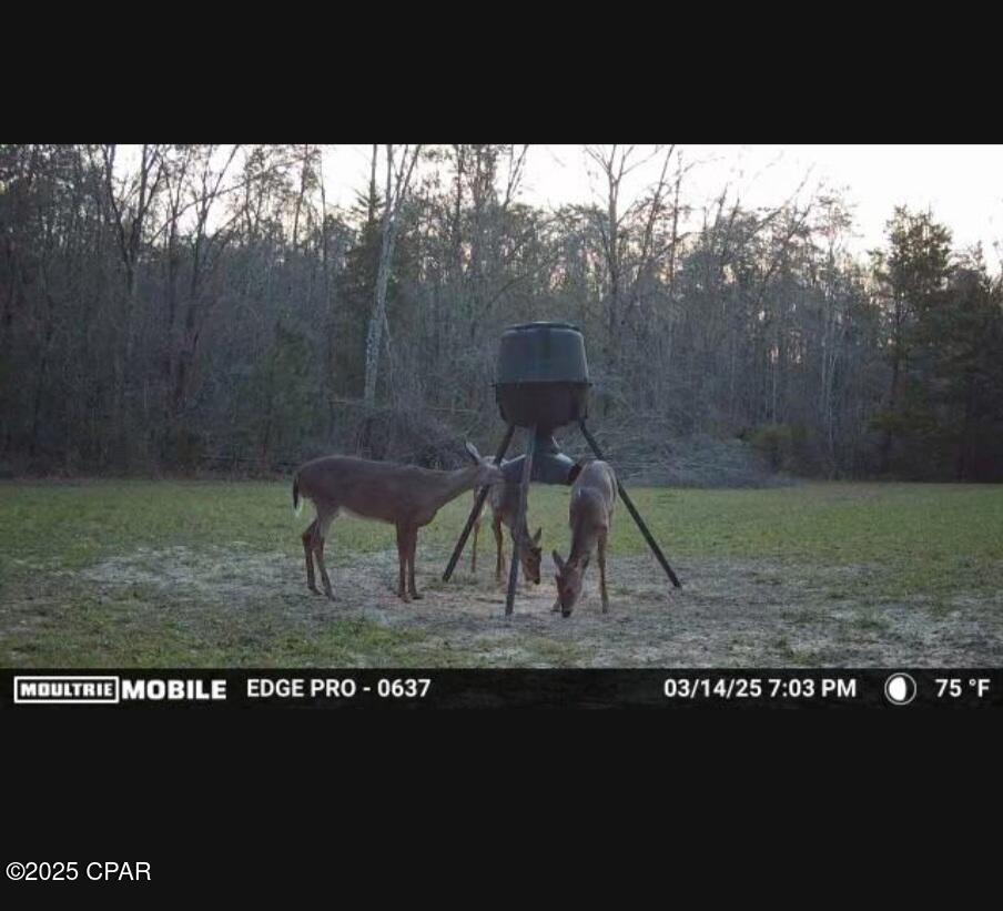 Image 19 For 1680 Franks Lane