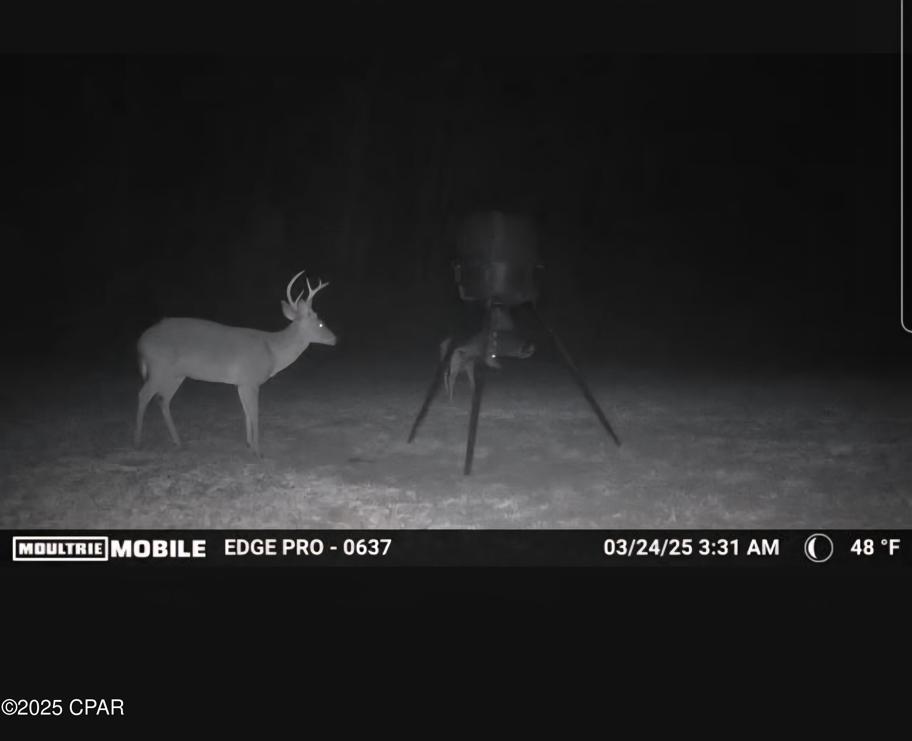 Image 20 For 1680 Franks Lane