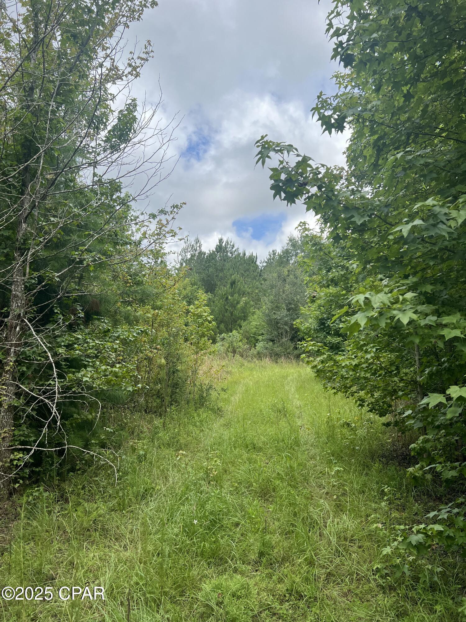 Image 4 For 1680 Franks Lane