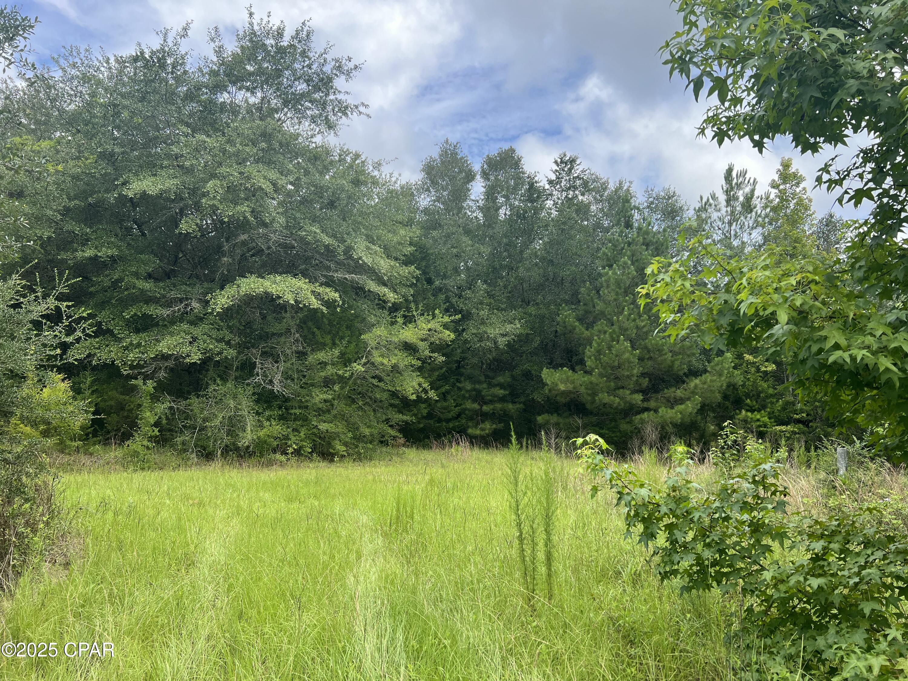 Image 5 For 1680 Franks Lane