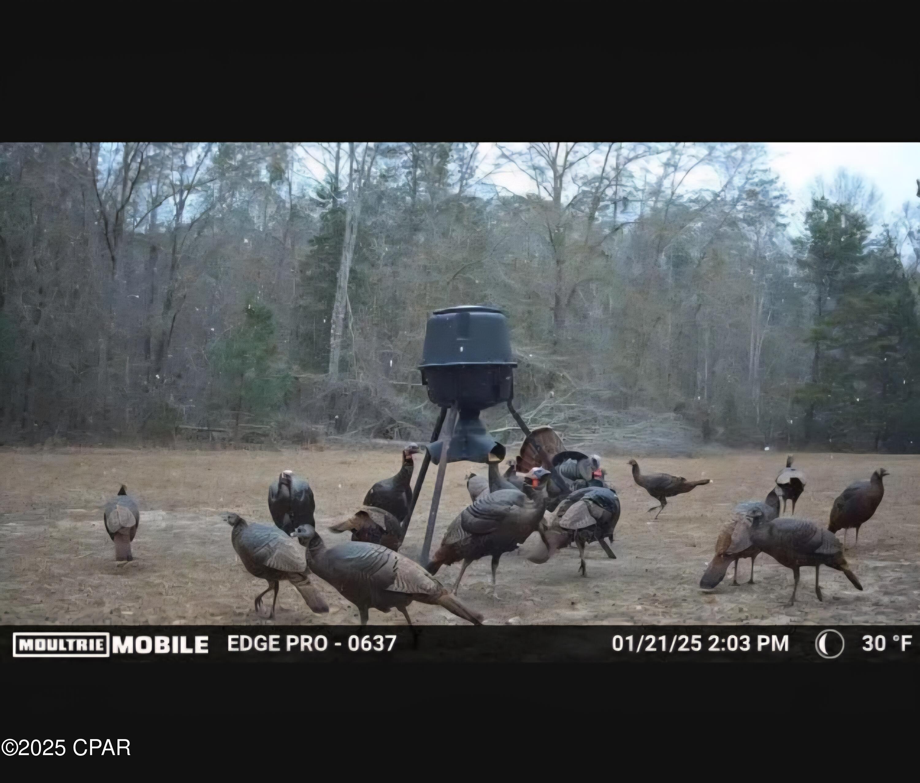 Image 6 For 1680 Franks Lane