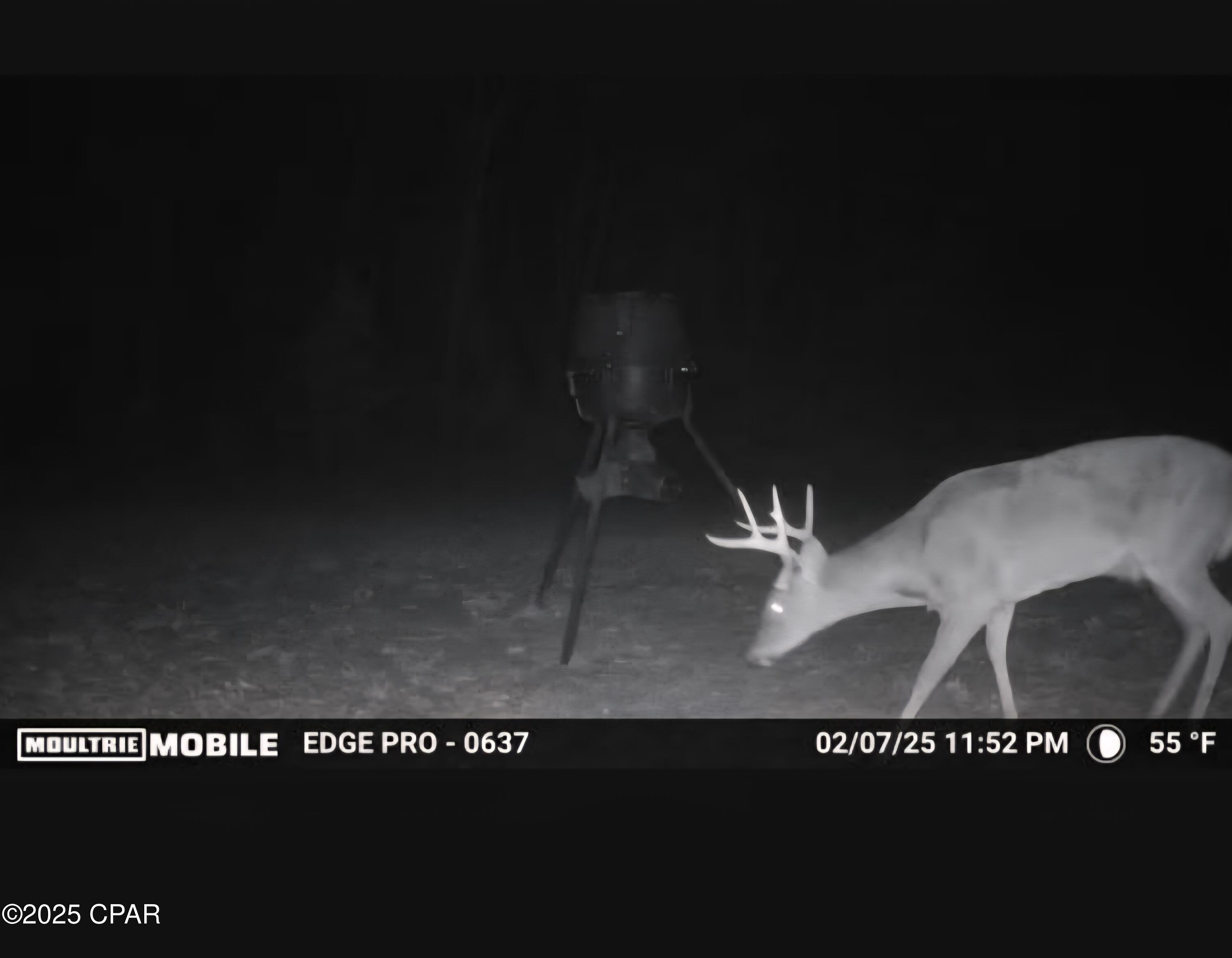 Image 7 For 1680 Franks Lane