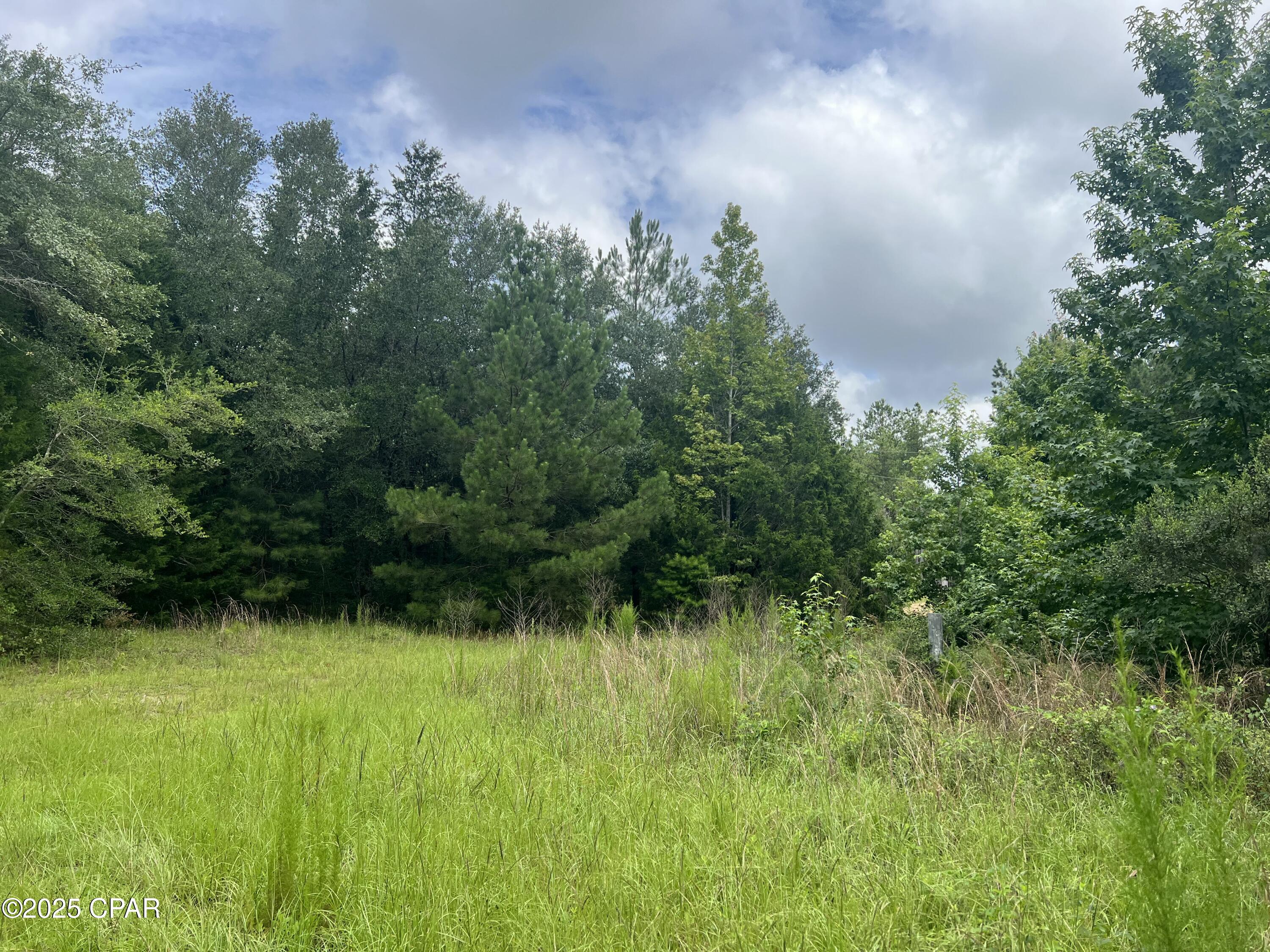 Image 8 For 1680 Franks Lane