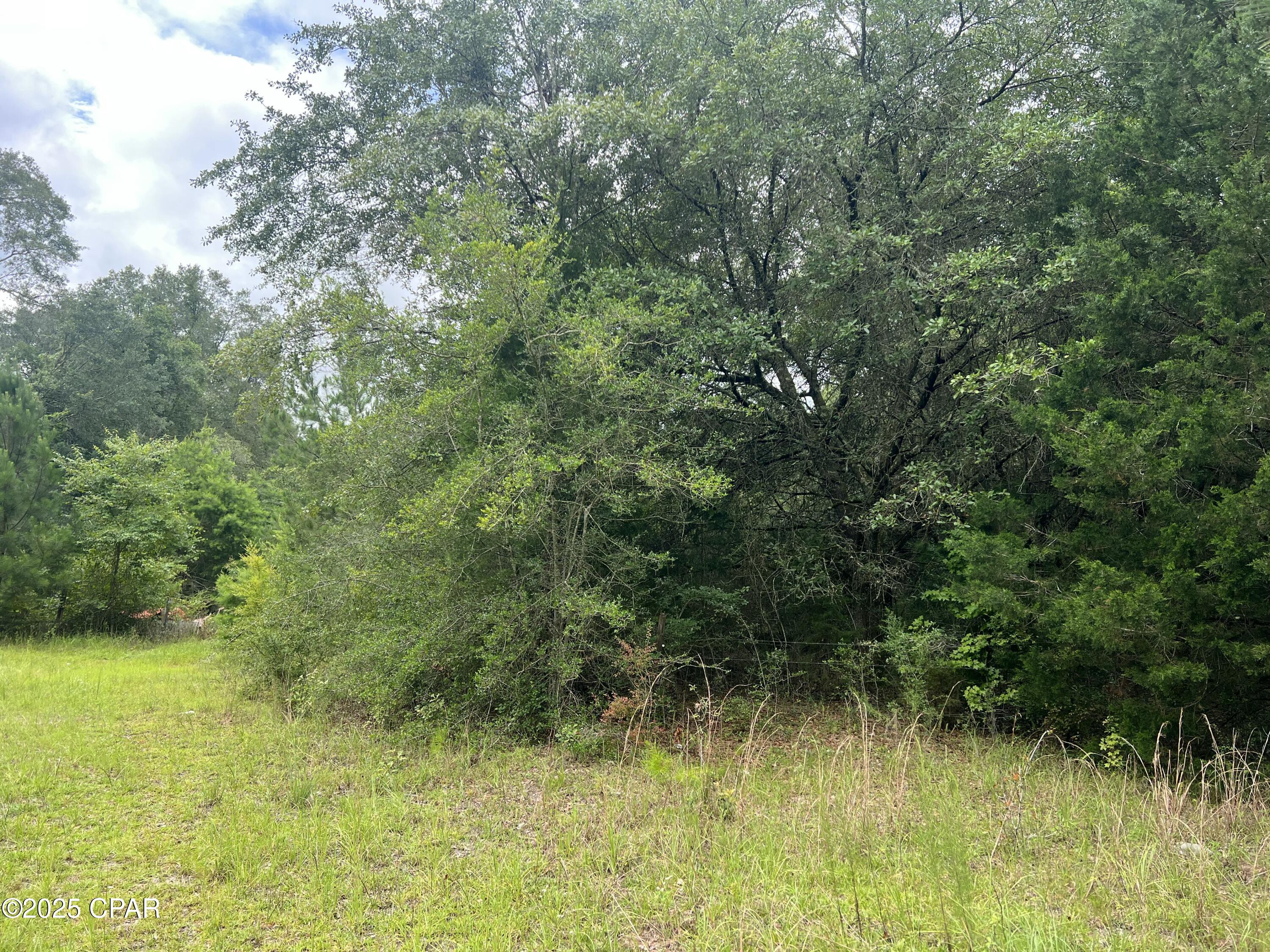 Image 9 For 1680 Franks Lane