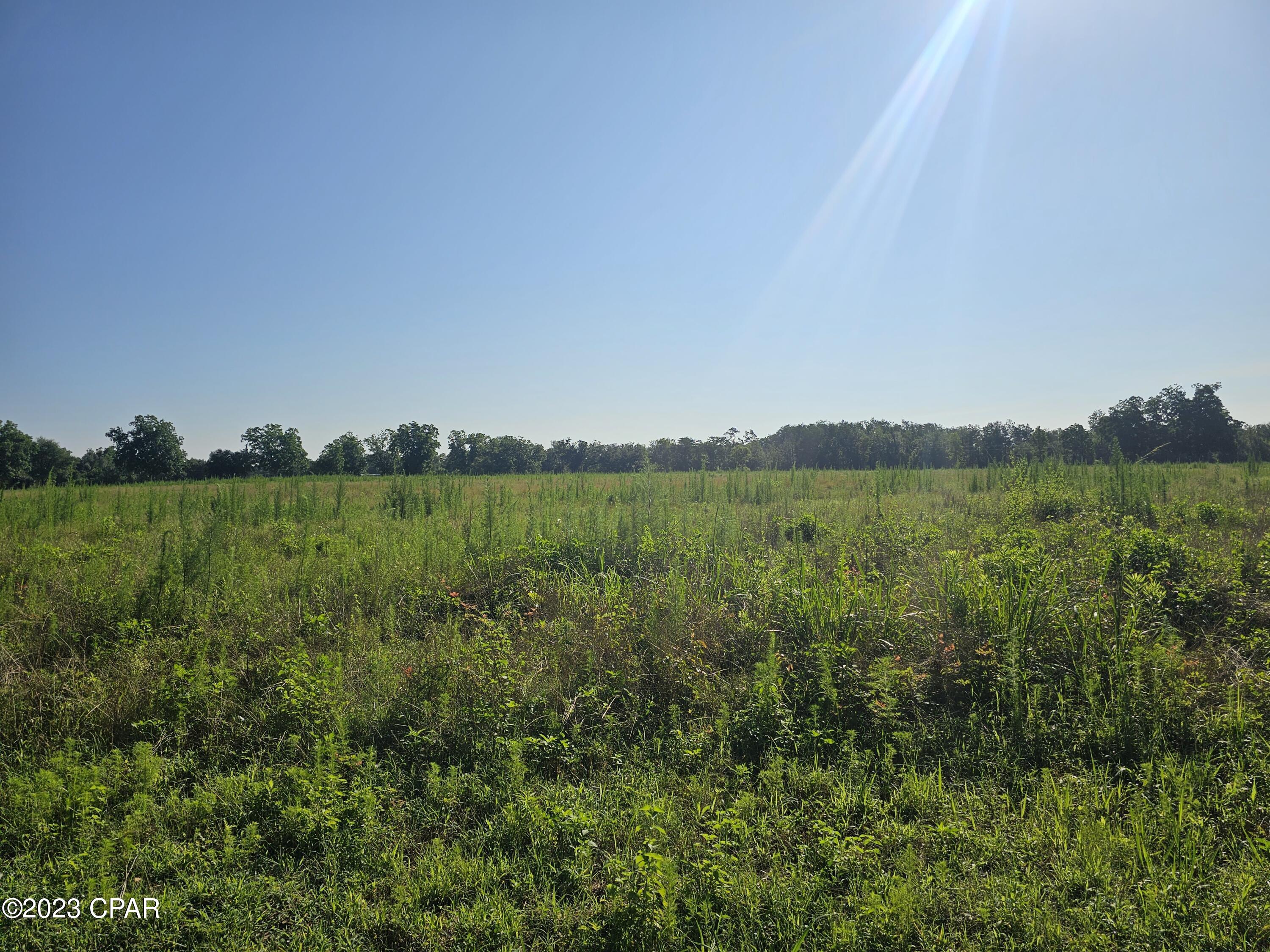 Image 18 For 6775 Highway 90