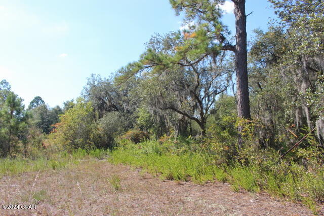 Image 17 For 4667 Lake Shore Boulevard