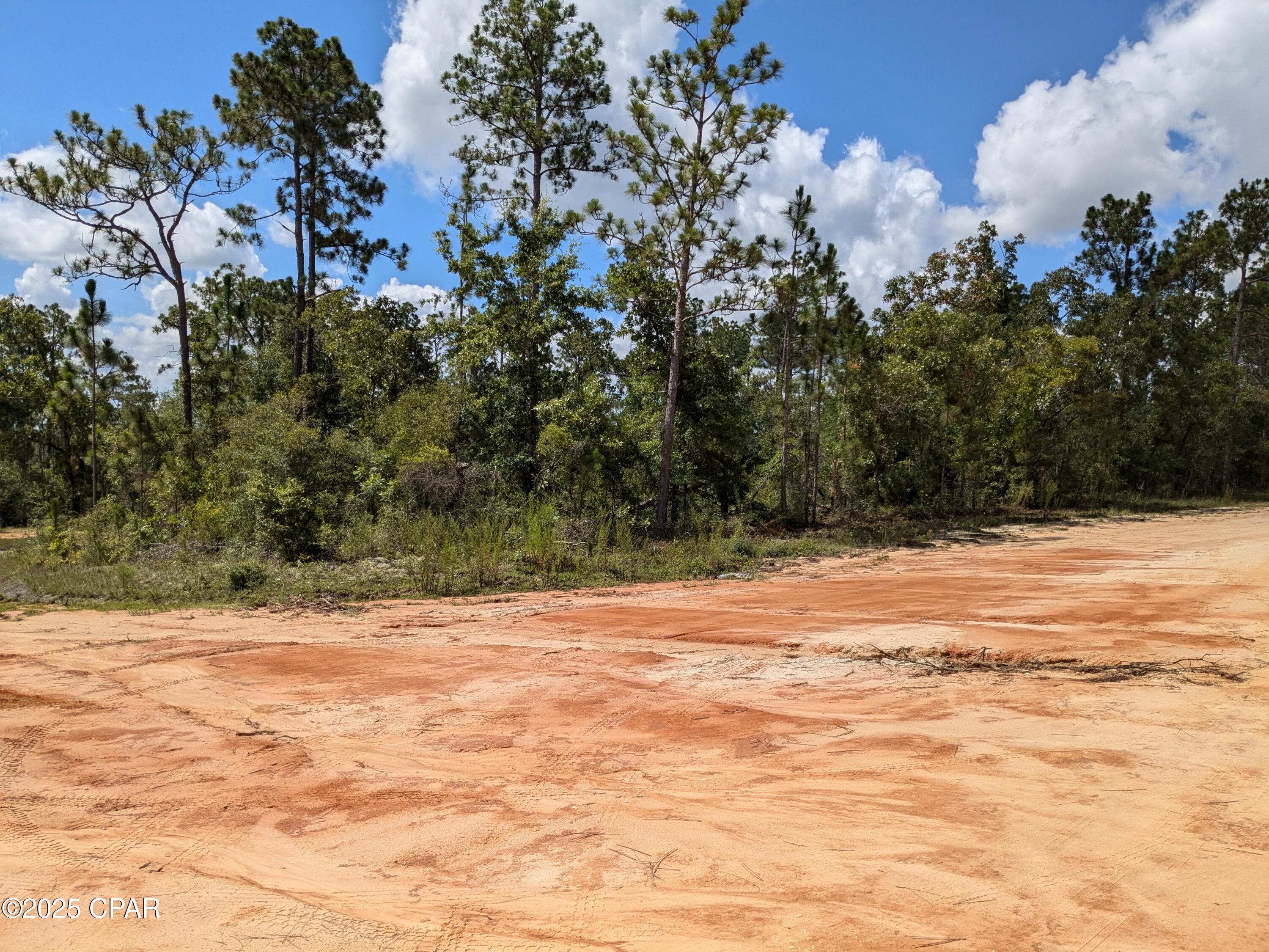 Details for 0 Castle Cr Circle, Alford, FL 32420