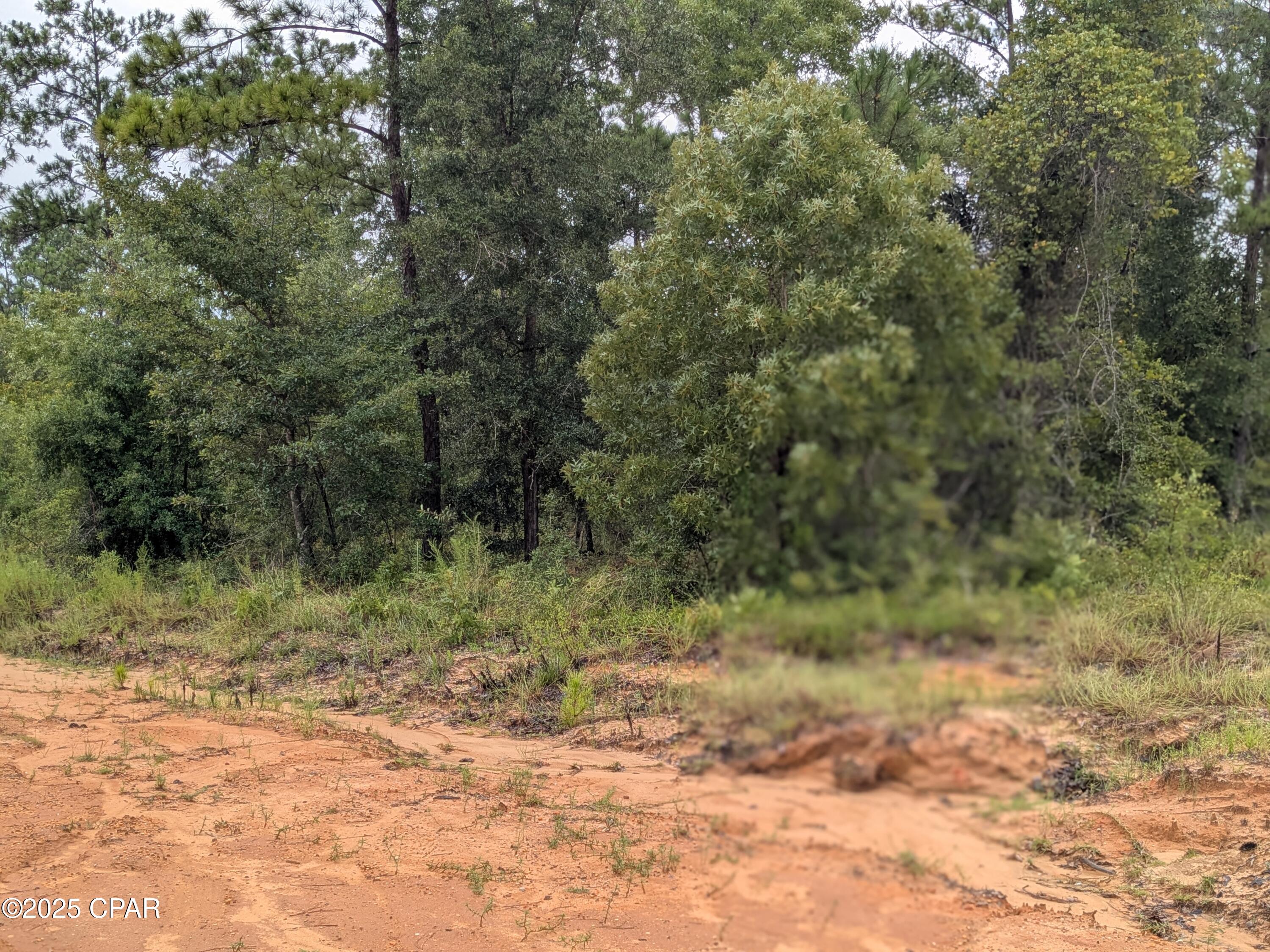 Homes for sale in Alford, FL | 0 Castle Cr Cir, Alford, FL 32420 | MLS# 776461