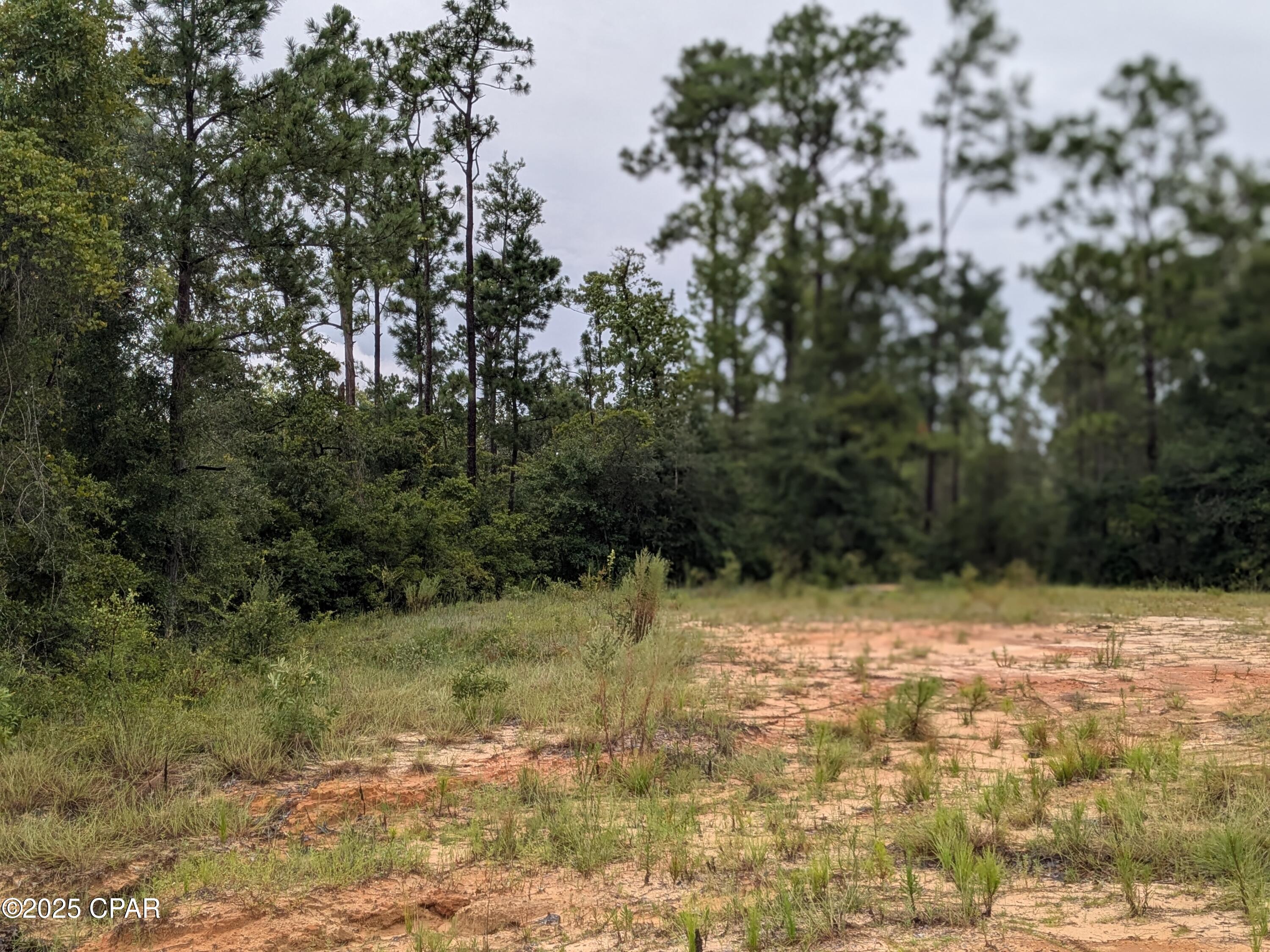 Homes for sale in Alford, FL | 0 Castle Cr Cir, Alford, FL 32420 | MLS# 776461