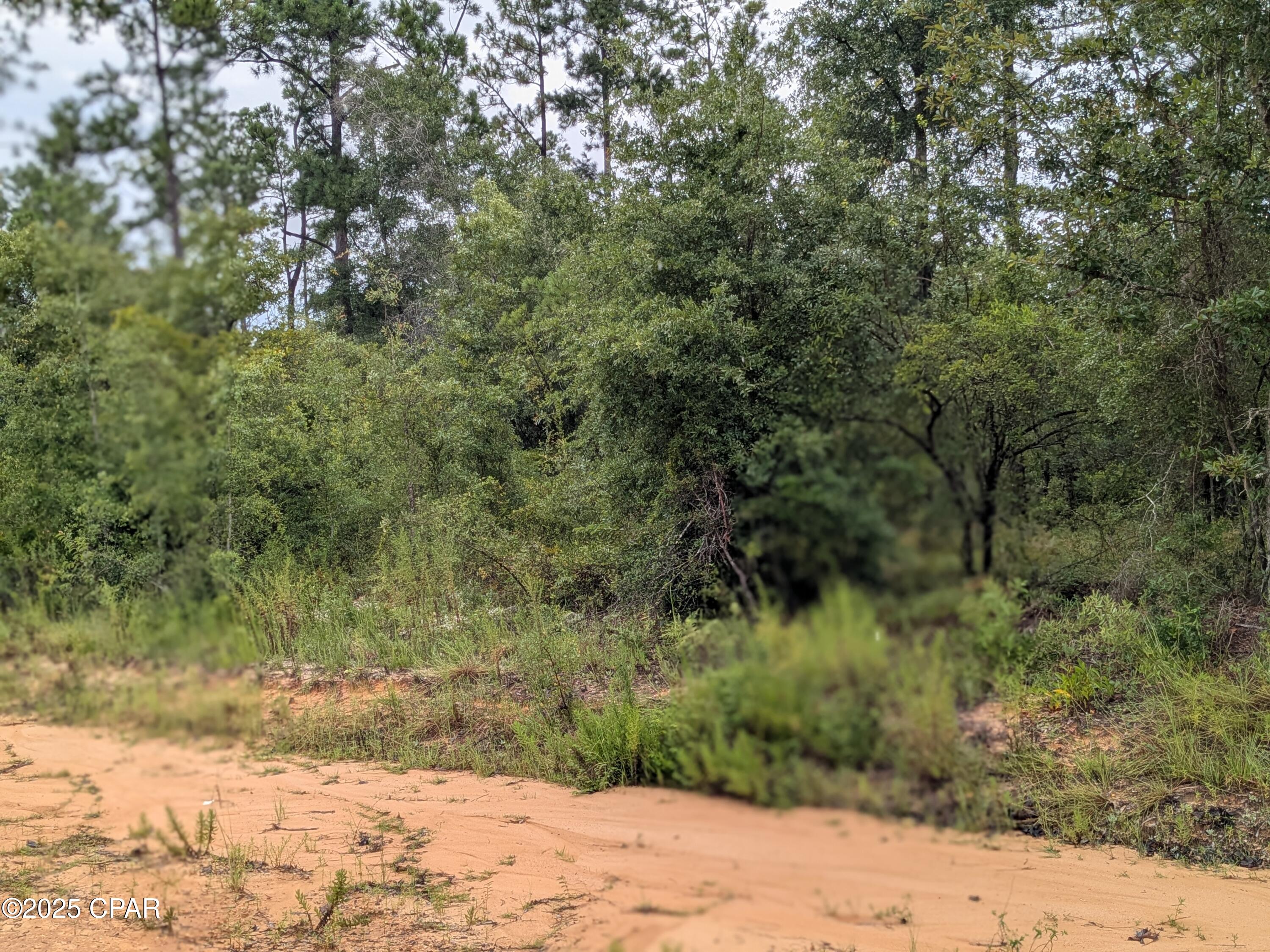 Image 4 For 0 Castle Cr Circle