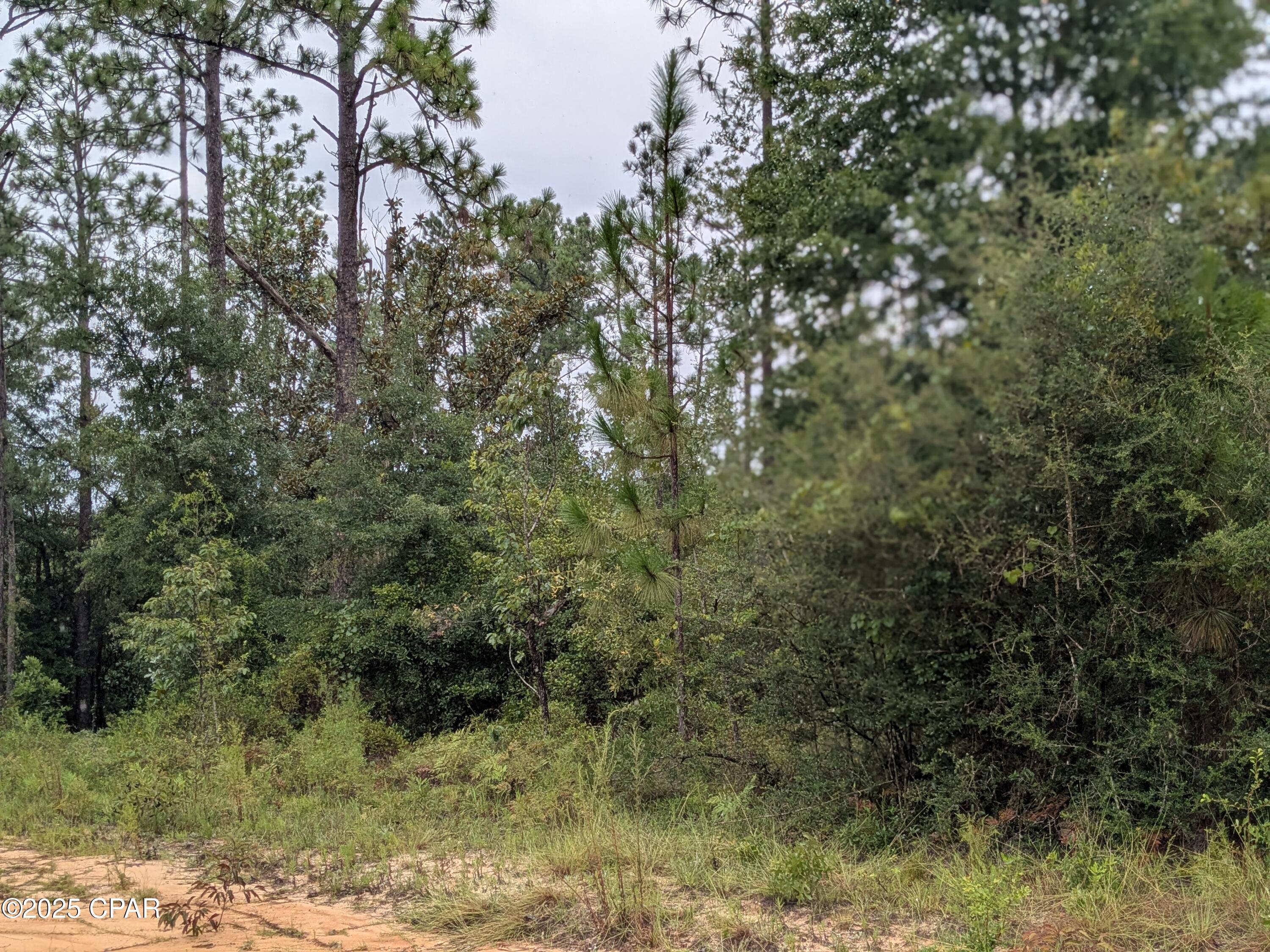 Image 6 For 0 Castle Cr Circle