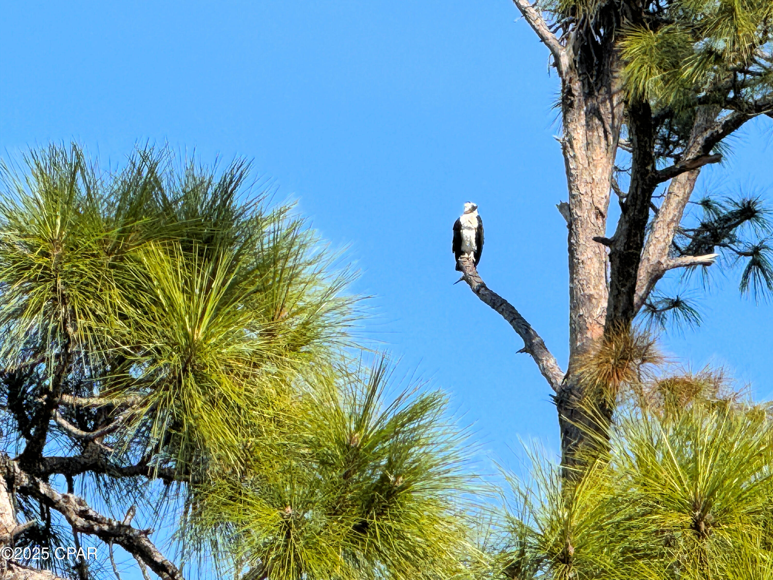 Image 26 For 5224 Kingston Boulevard