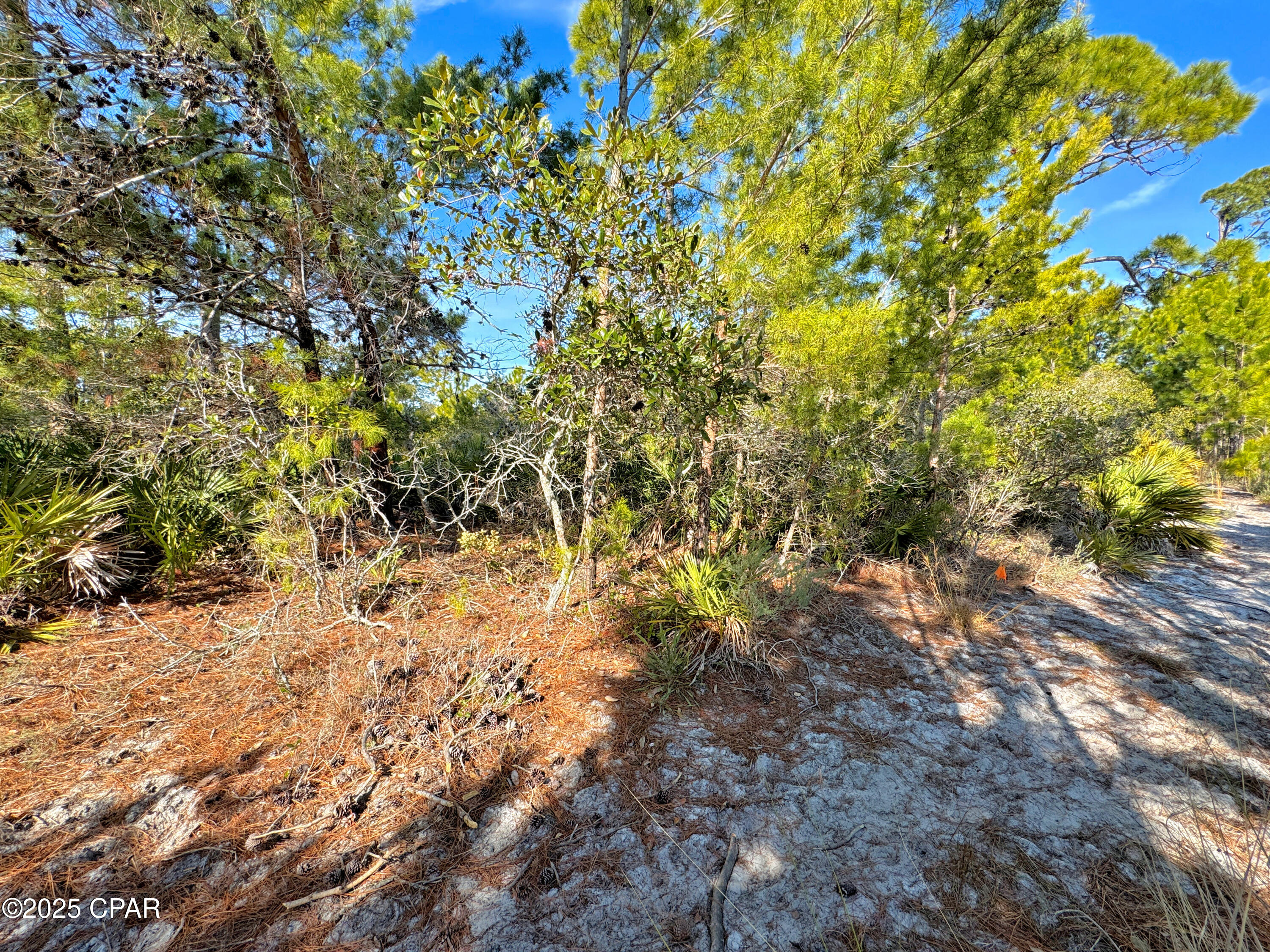 Image 7 For 5224 Kingston Boulevard