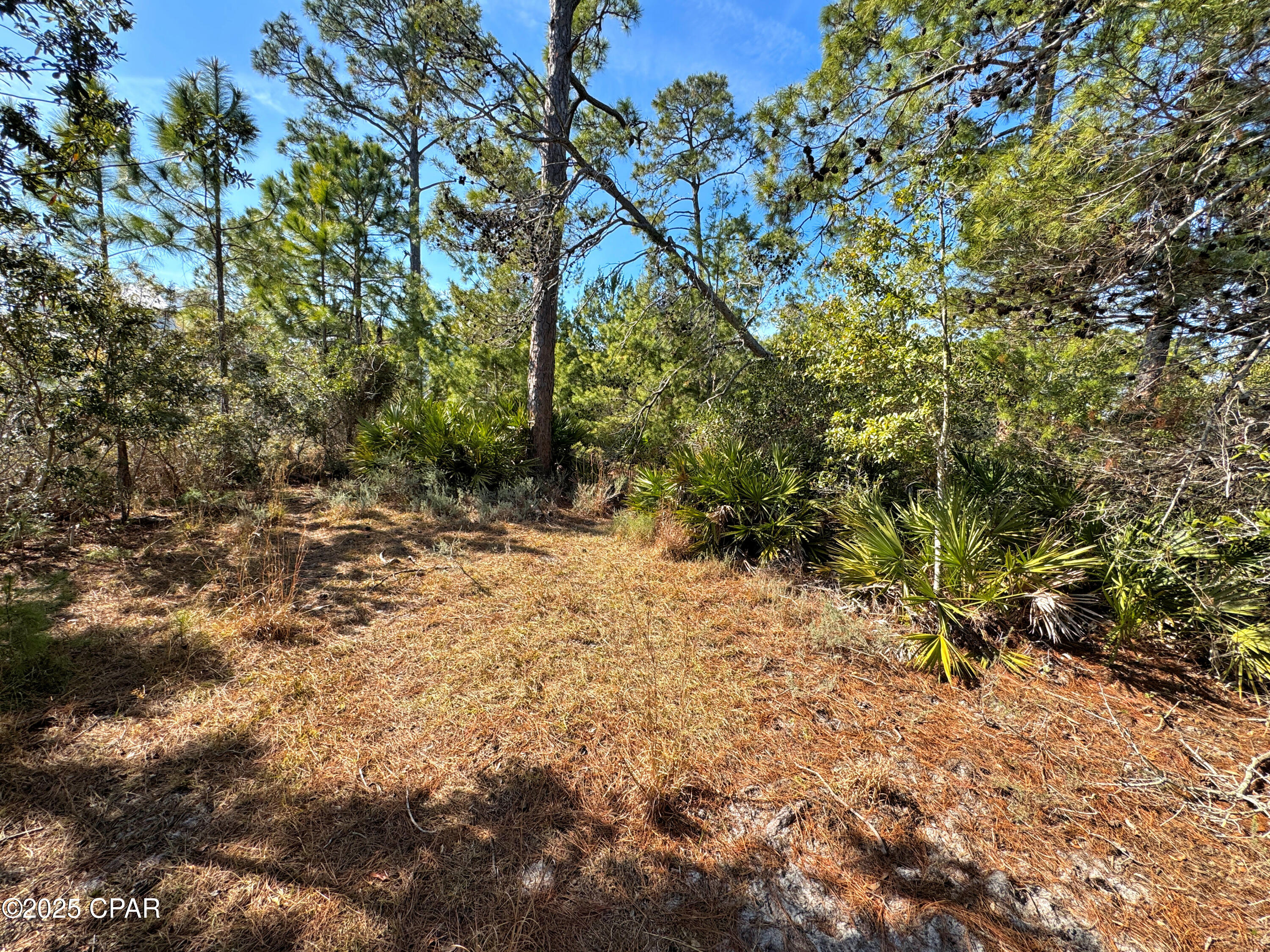 Image 8 For 5224 Kingston Boulevard