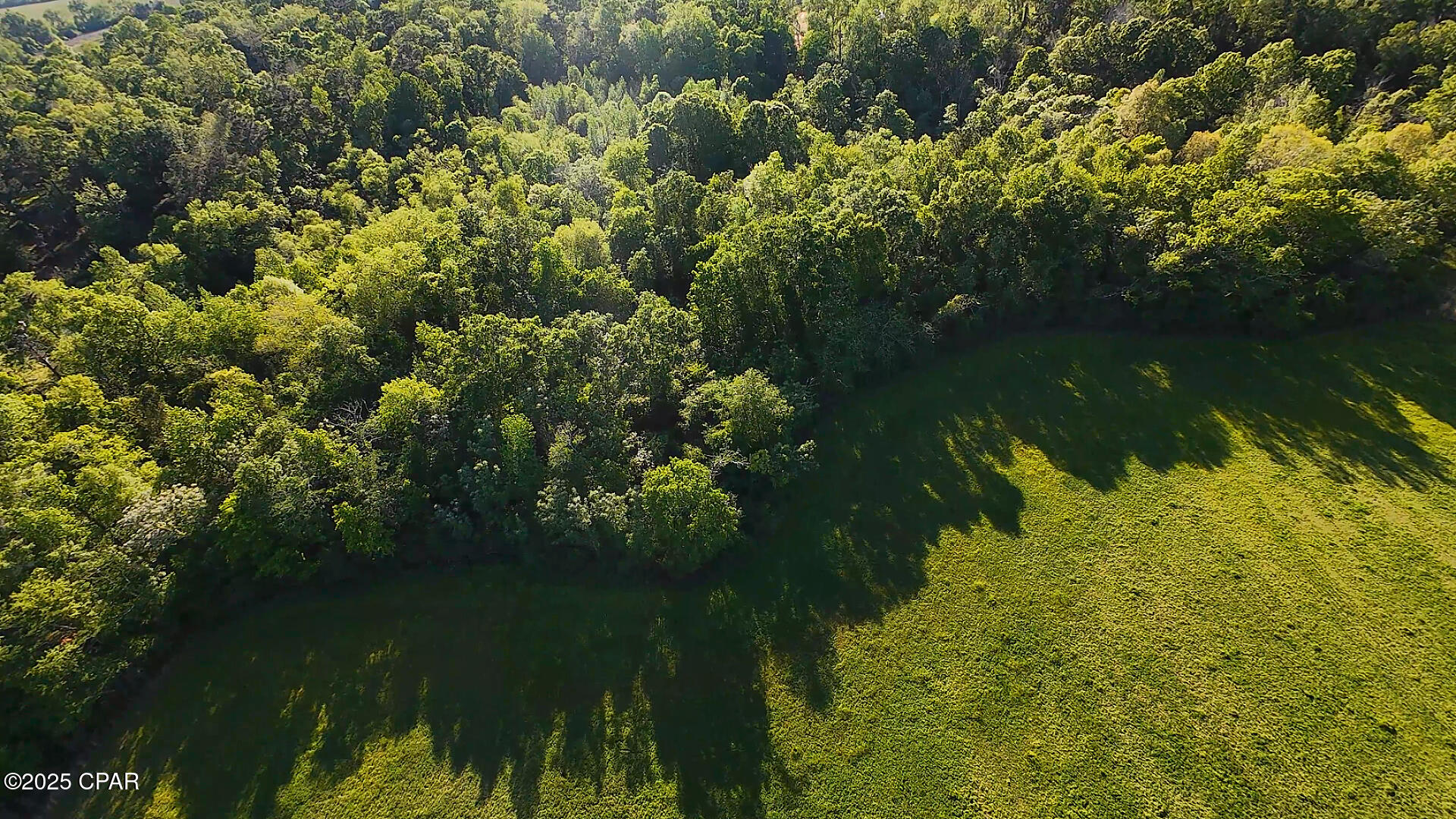 Image 11 For 0 Us-231  