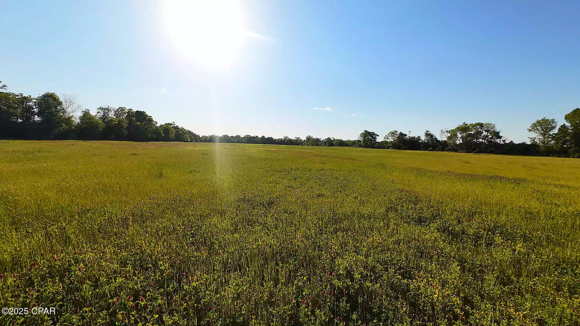 Image 8 For 0 Us-231  