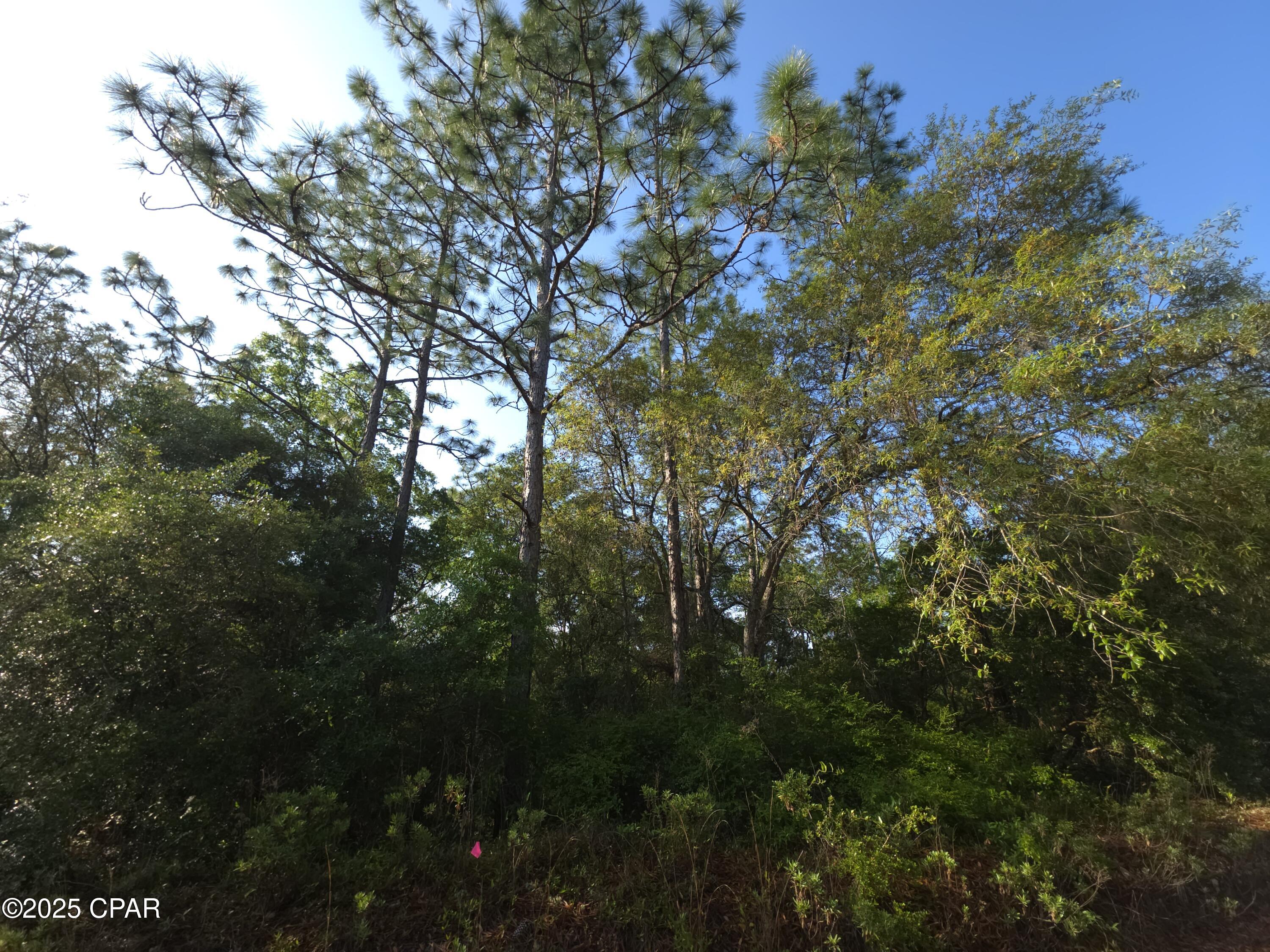 Image 11 For 00 Payne Lake Road Road