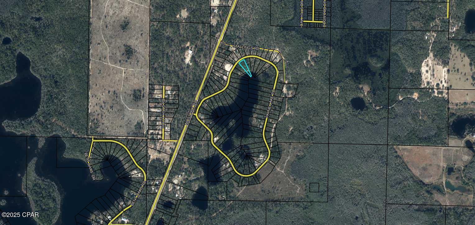 Image 12 For 00 Payne Lake Road Road