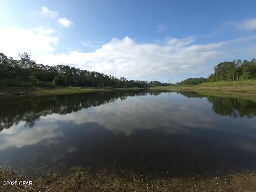 Image 3 For 00 Payne Lake Road Road