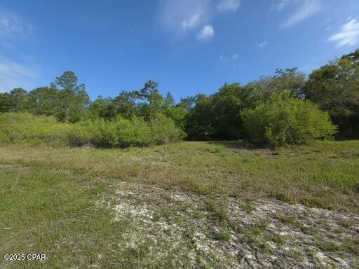 Image 8 For 00 Payne Lake Road Road