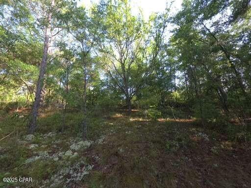 Image 9 For 00 Payne Lake Road Road