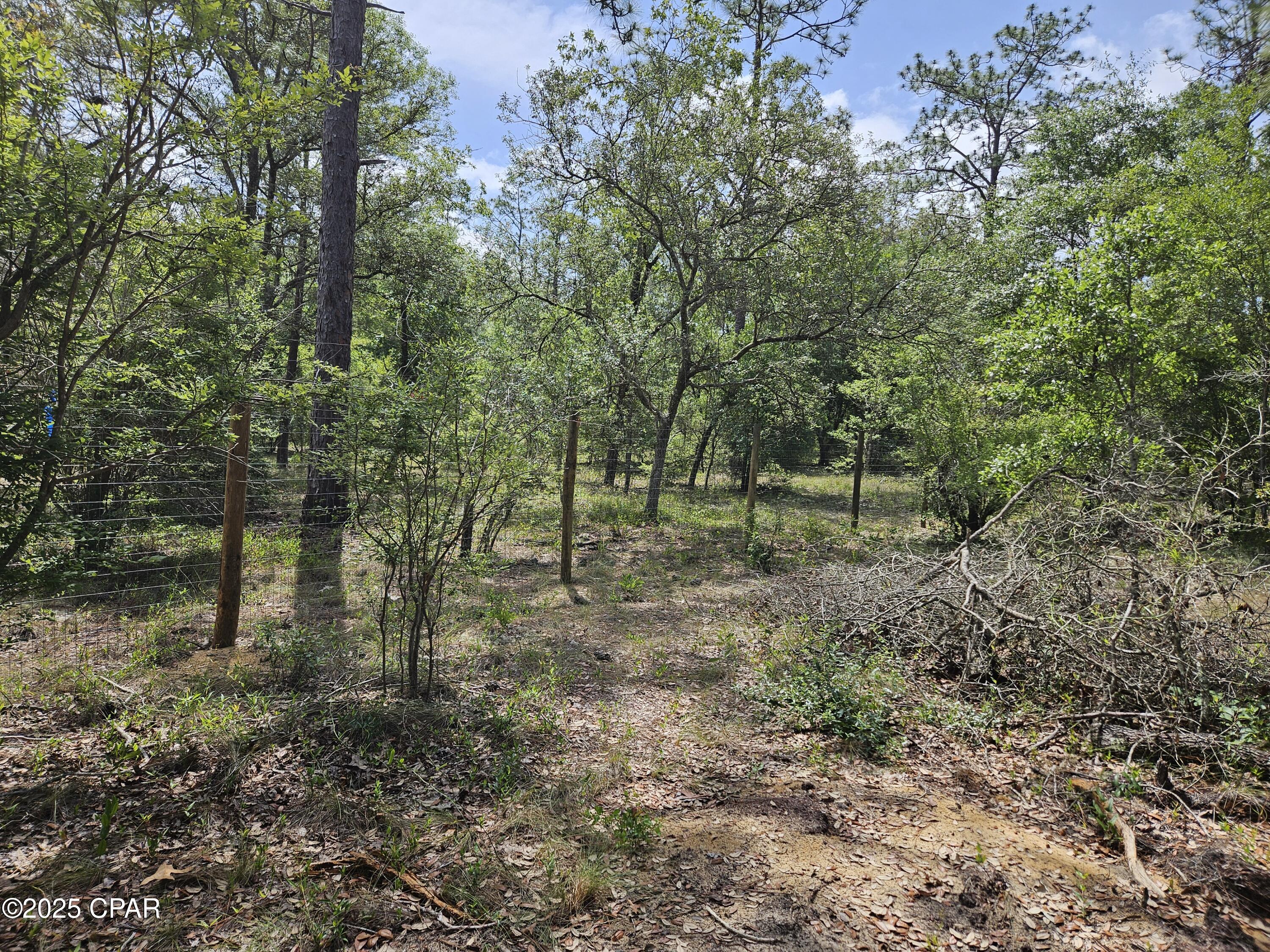 Image 8 For 3239 Fox Court