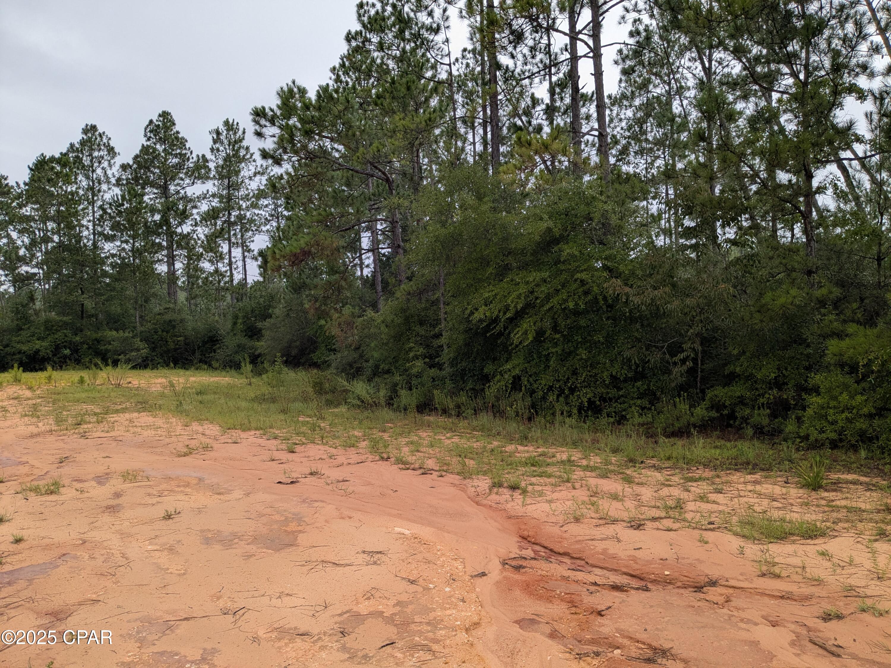 Listing Details for 0 Deshutes Drive, Alford, FL 32420