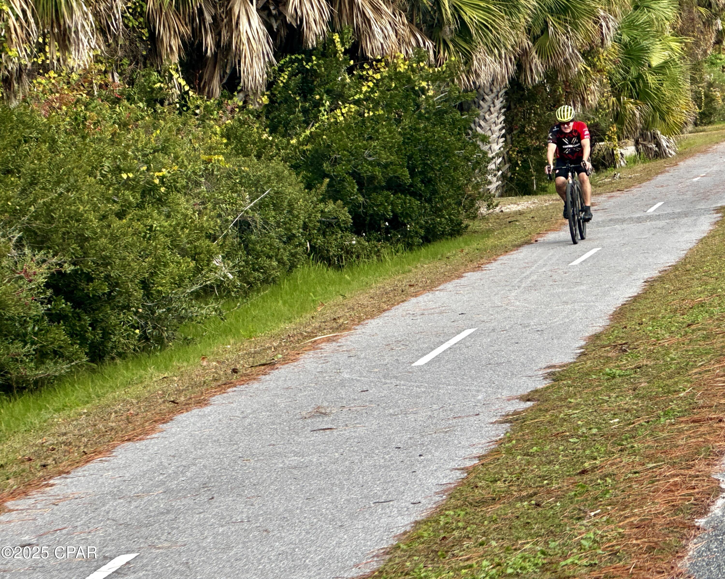 Listing photo id 12 for Tbd Cape San Blas Road