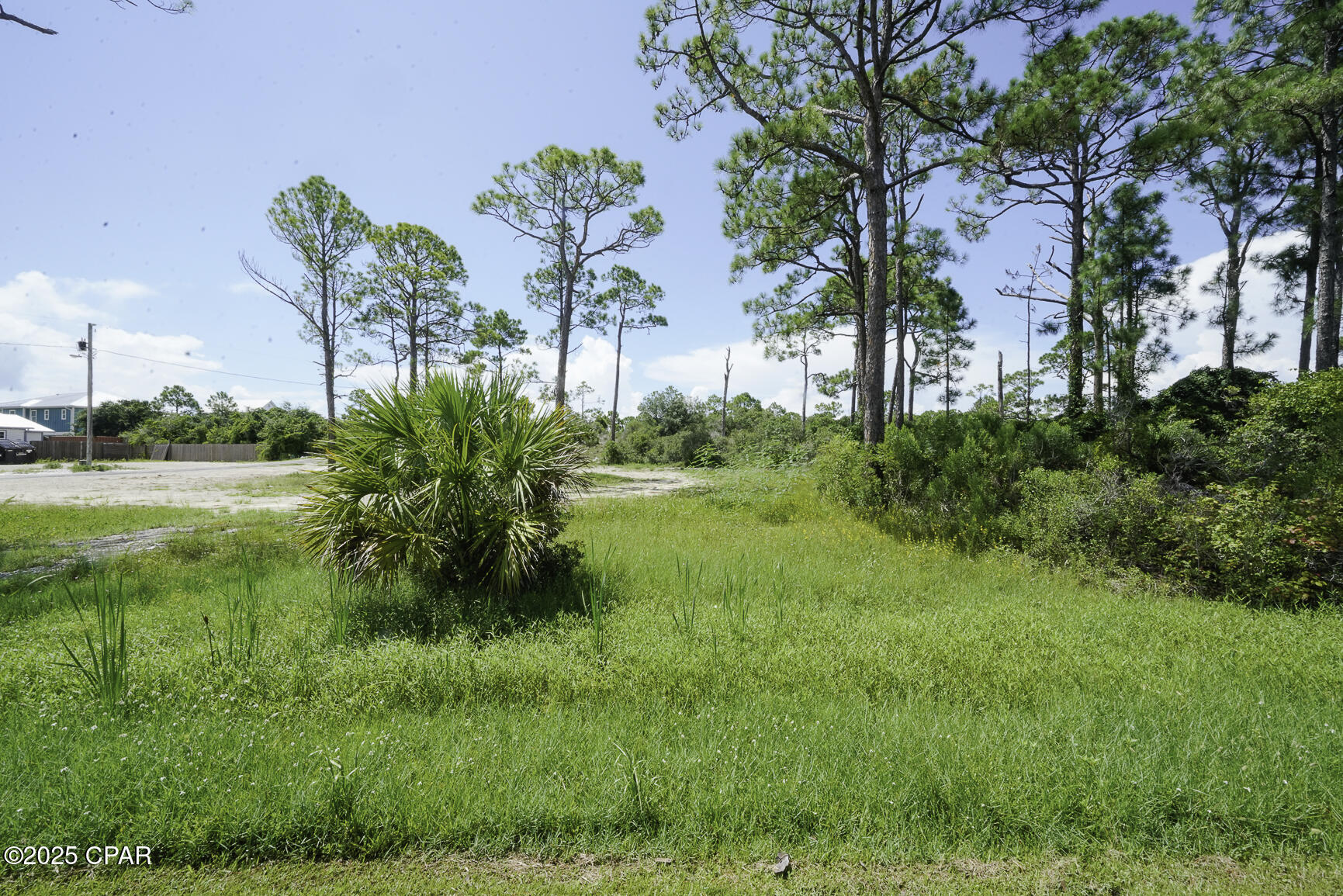 Listing photo id 2 for Tbd Cape San Blas Road
