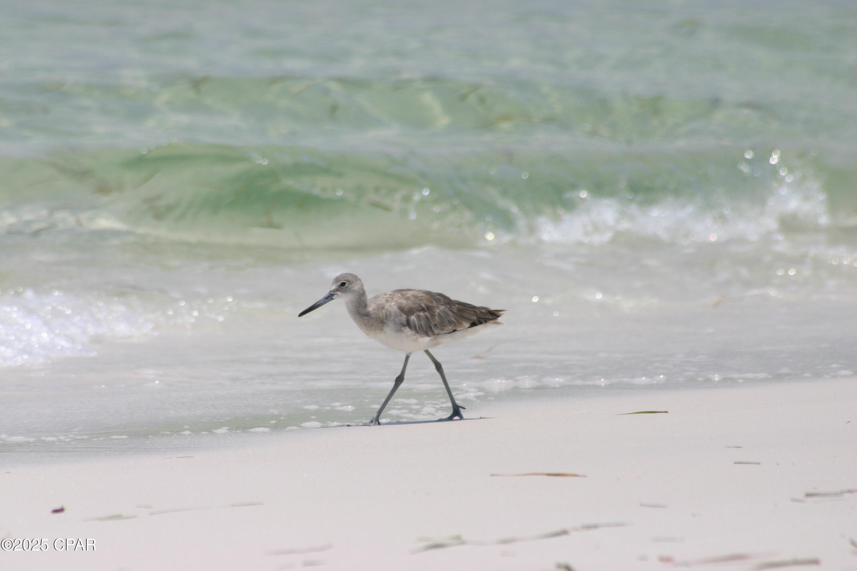 Image 55 For 15817 Front Beach Road 1-1005