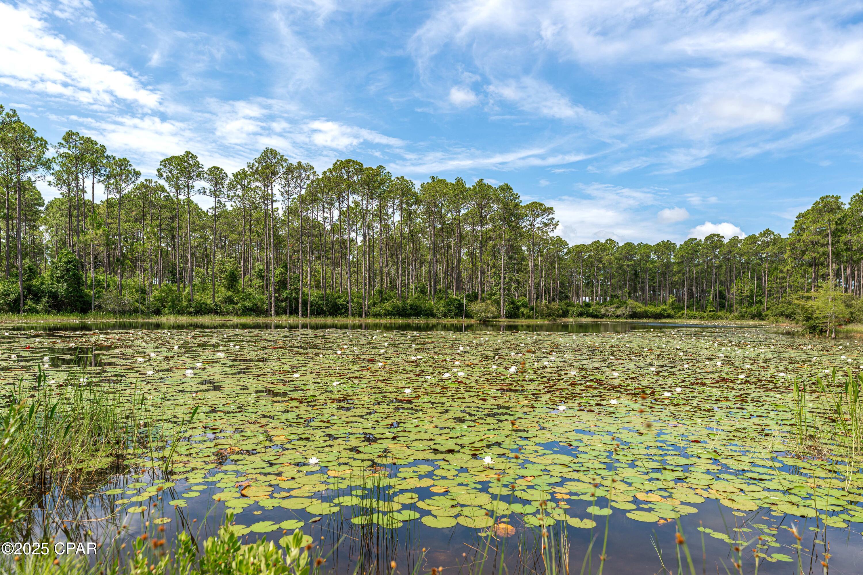Image 42 For 8405 Deepwater Creek Lane